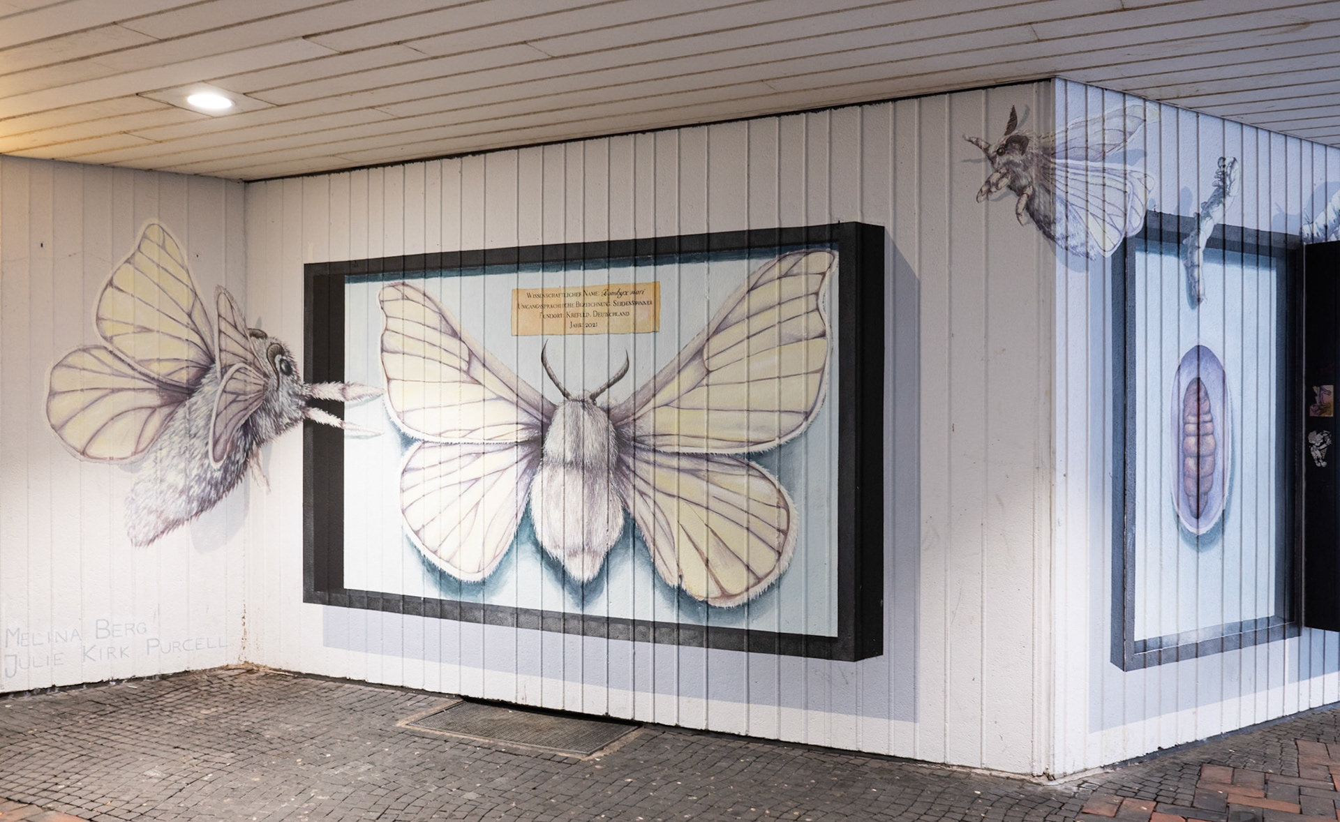 Krefeld, St.-Anton-Straße, Seidenweberhaus, 2022