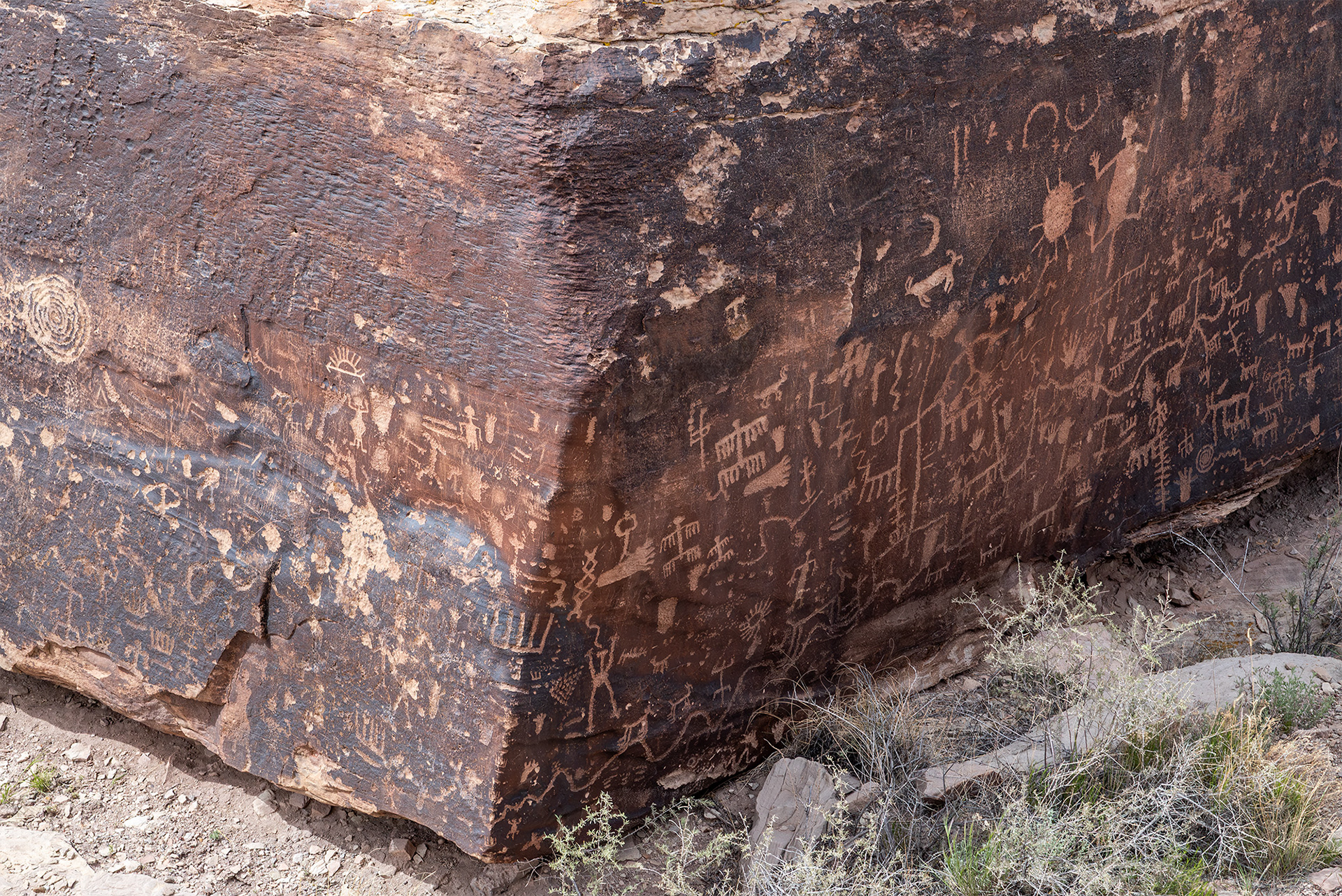 4/27/2017 - Petrified Forest National Park - "Newspaper Rock" Petroglyphs