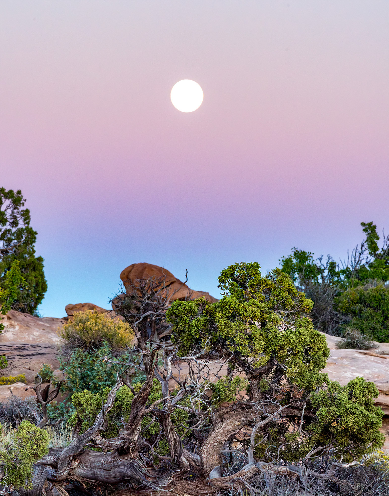 9/15/2016 - Canyon Lands National Park, UT