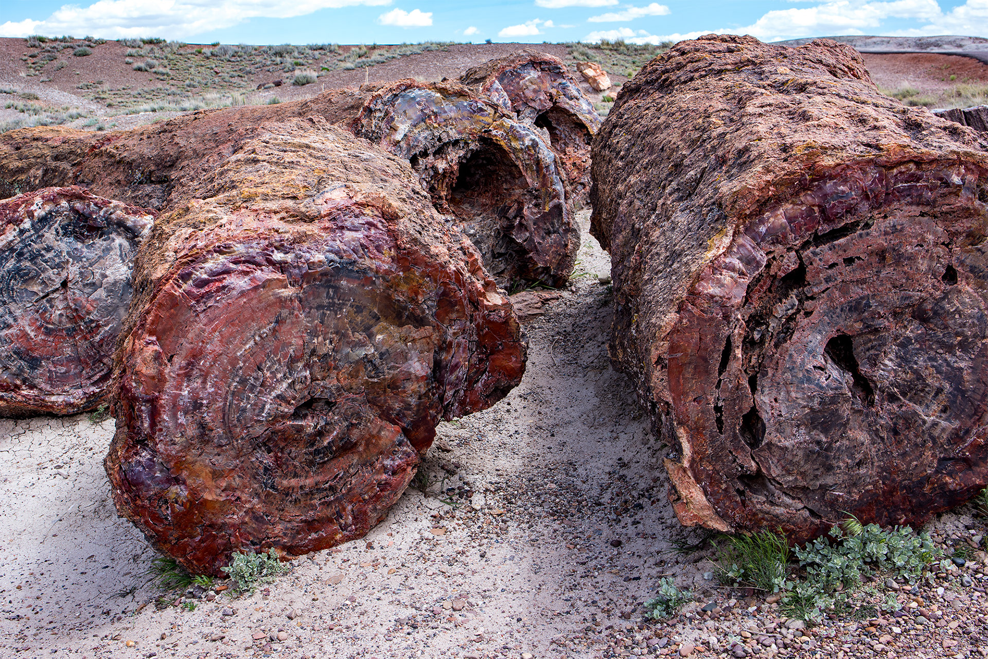 4/27/2017 - Petrified Forest National Park