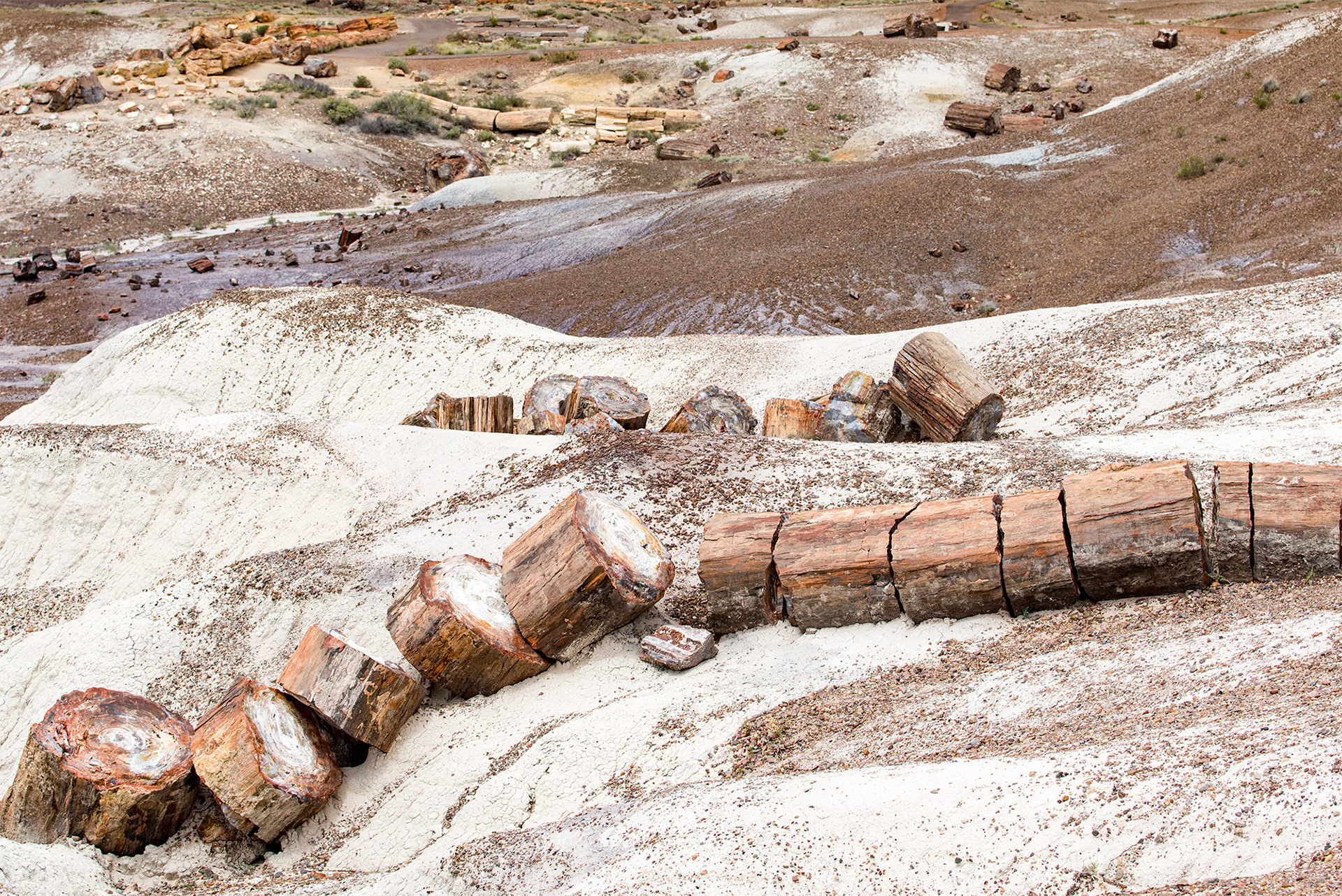 4/27/2017 - Petrified Forest National Park