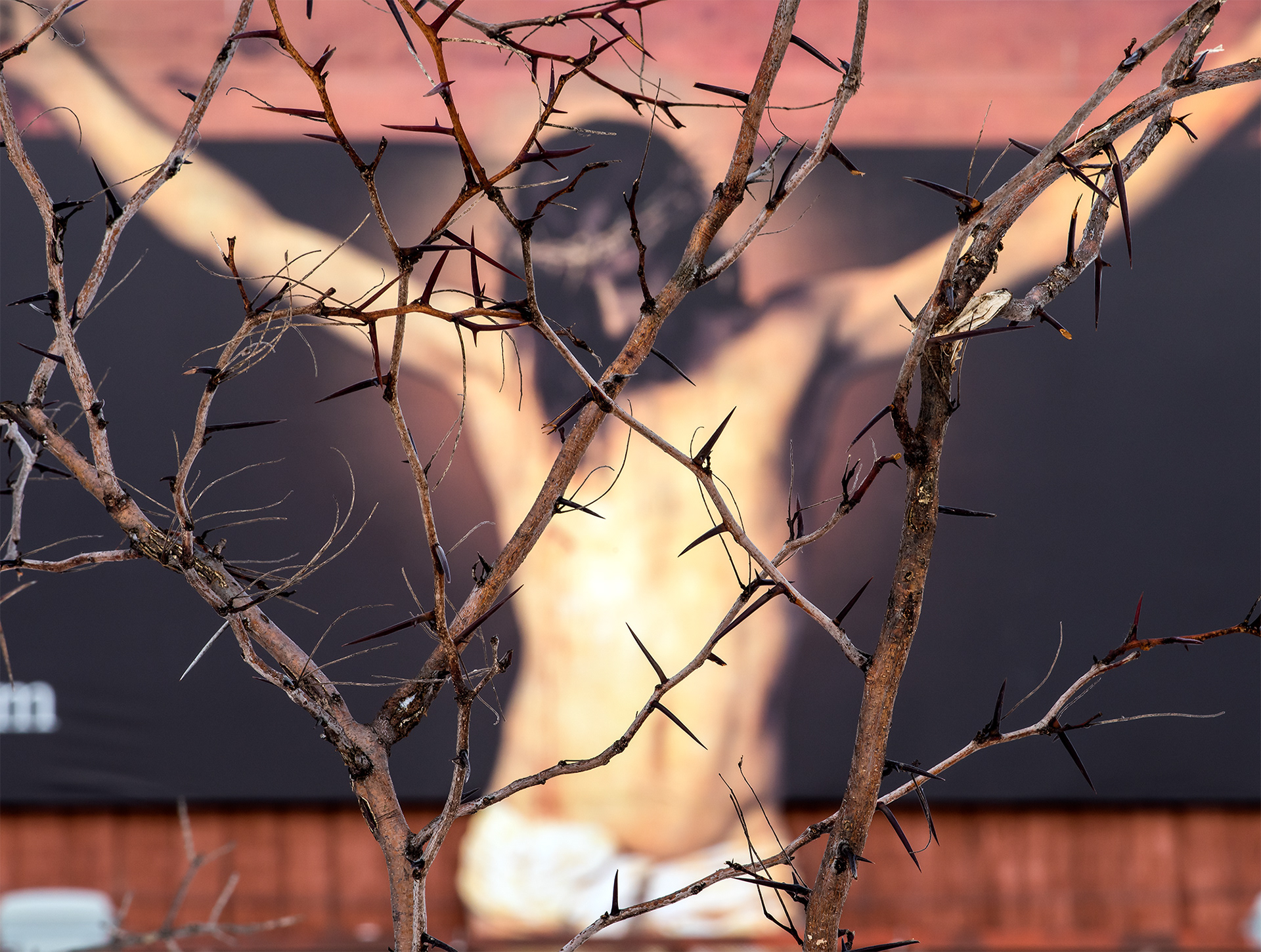 December 29 2015 - Last Jesus Photo Day - Altoona