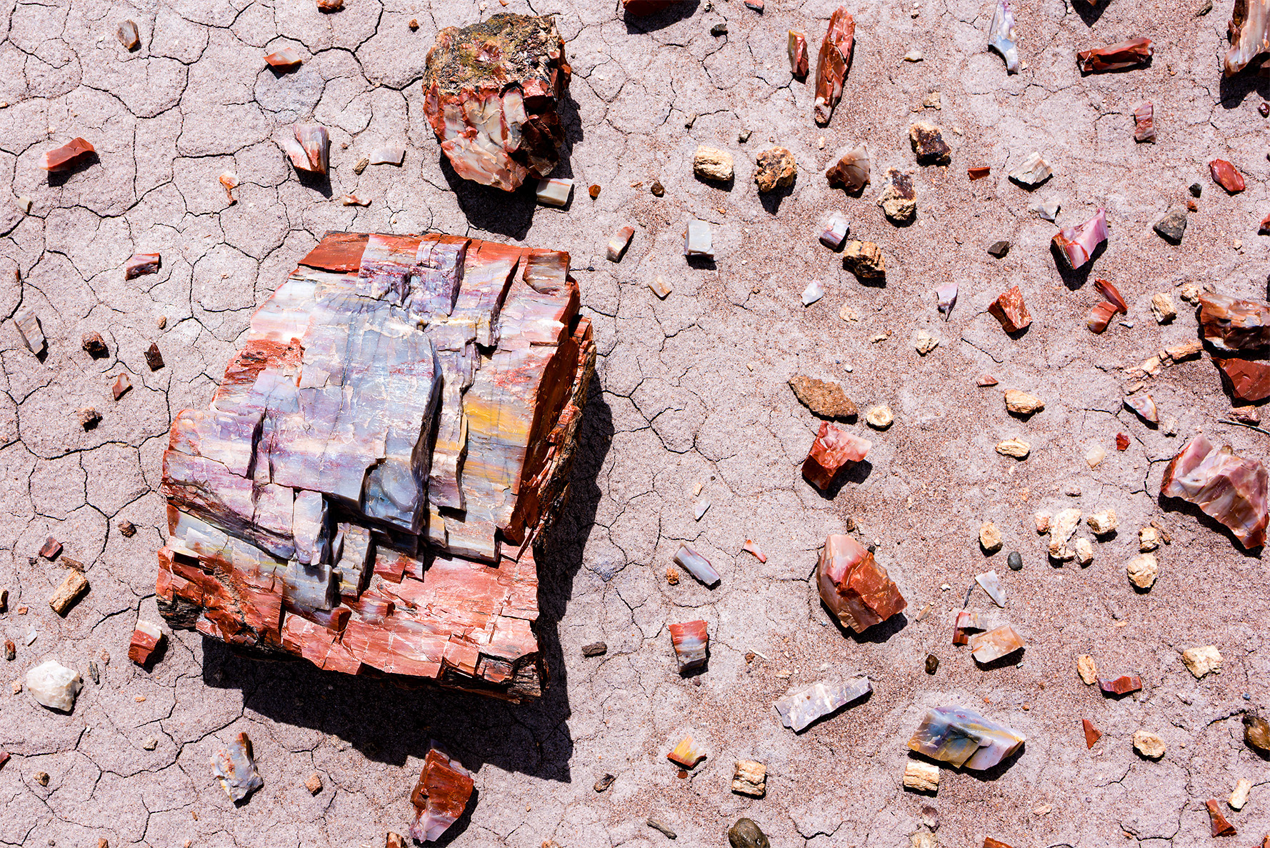 4/27/2017 - Petrified Forest National Park
