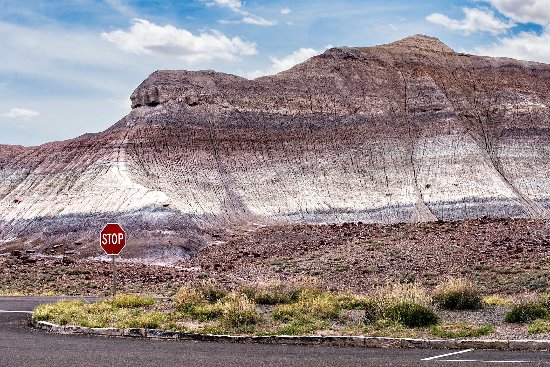4/27/2017 - Petrified Forest National Park