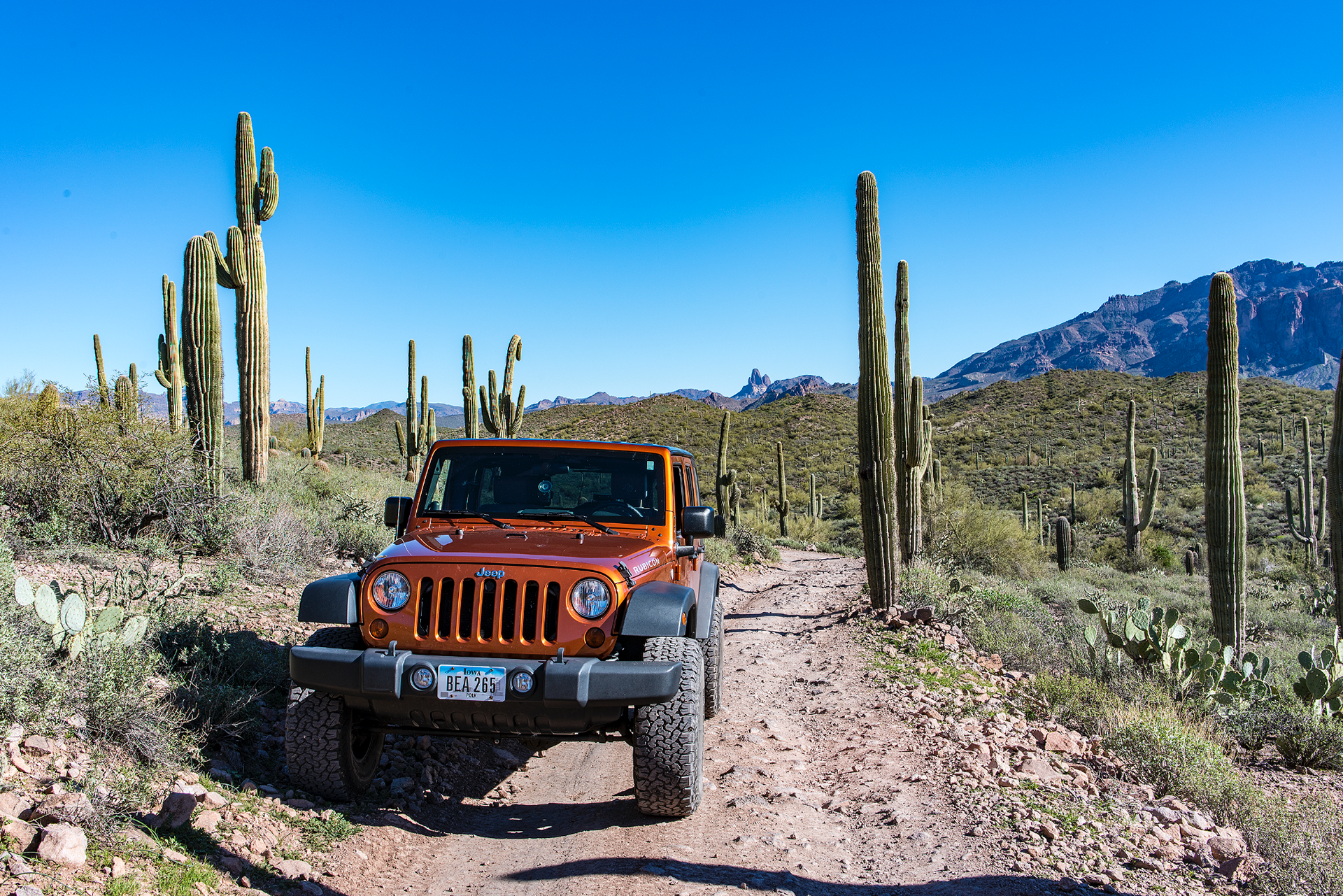 1/29/2017 - Bulldog Canyon, AZ