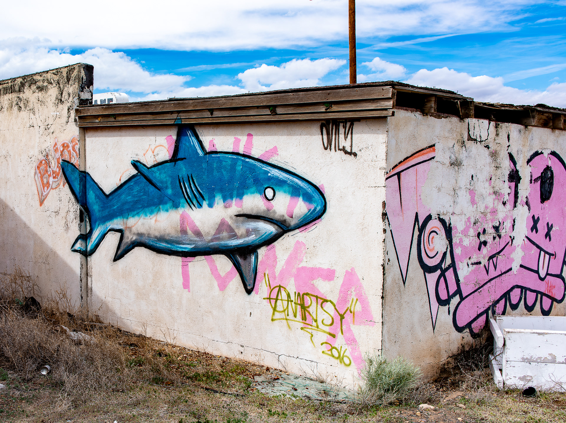 2017 April 26 - Two Arrows, AZ - Anartsy - 2016