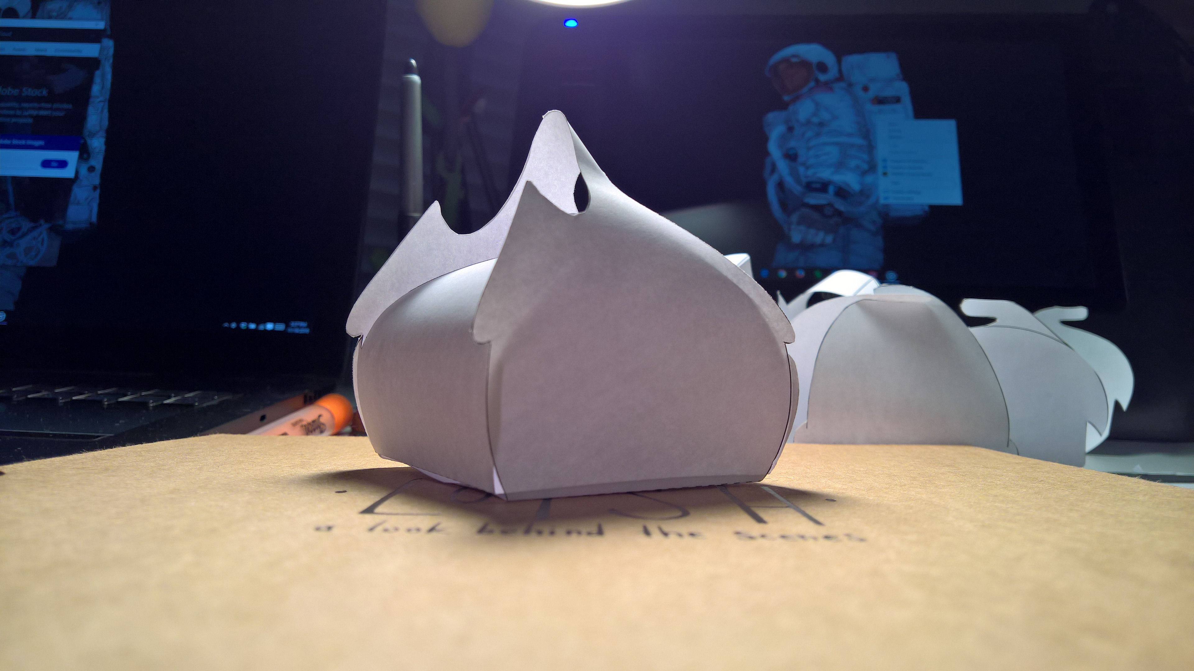 Actual prototype of the paper packaging for the hypothetical product.