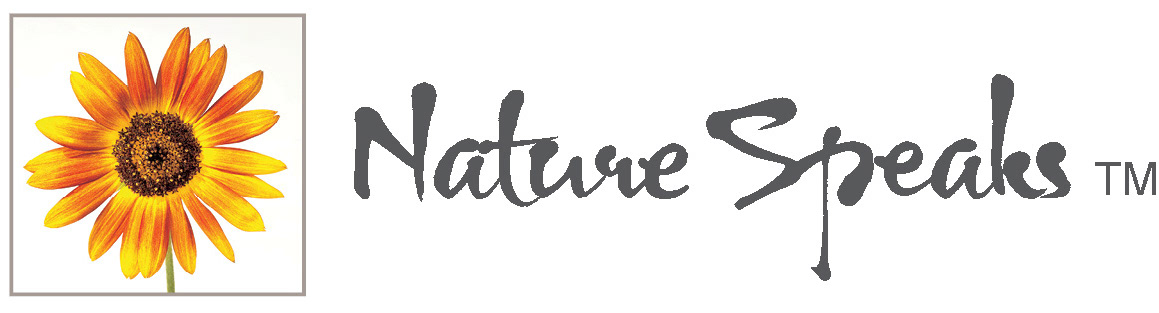 Nature Speaks Logo