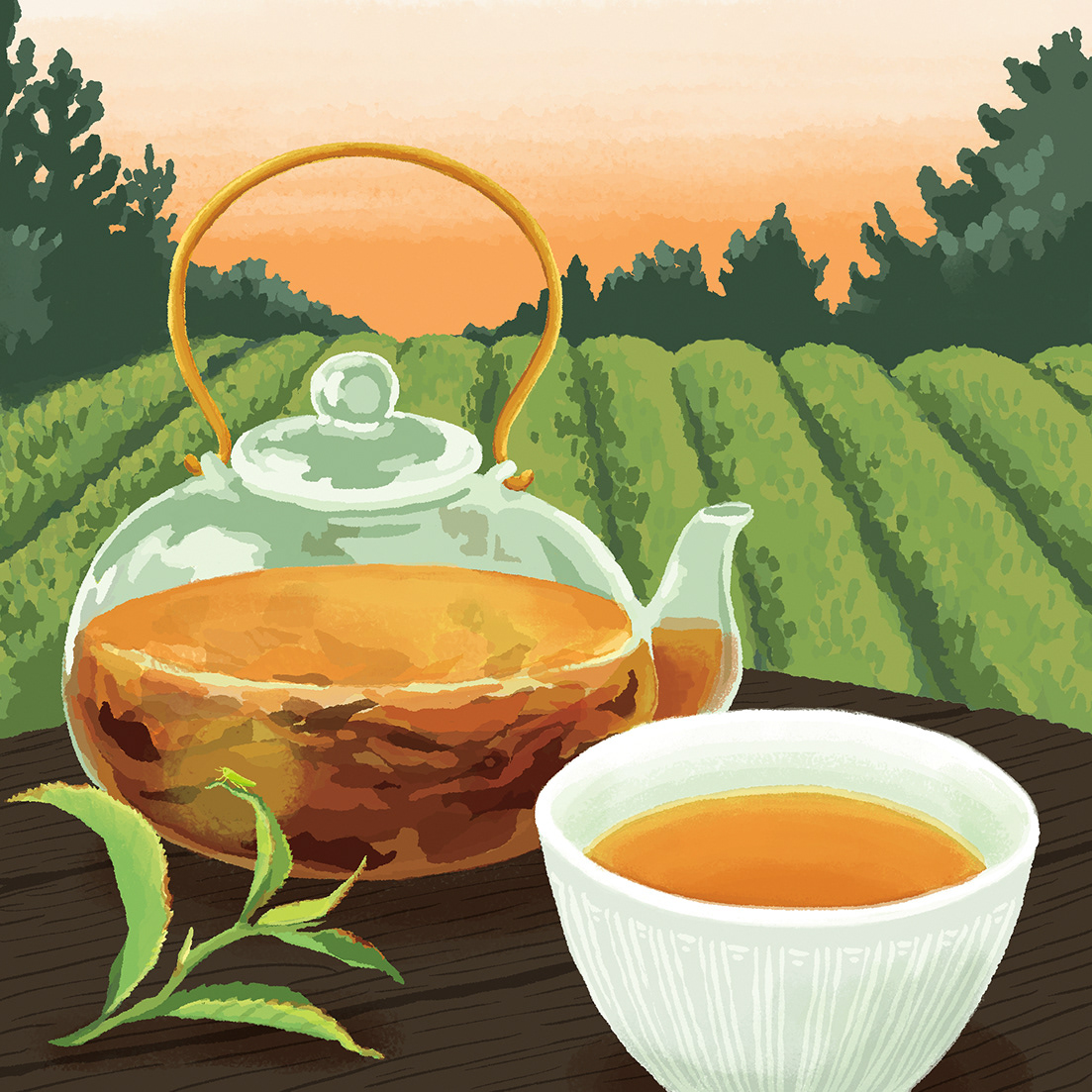 如春園「こゆるぎ蜜香紅茶」（2025年9月号掲載）