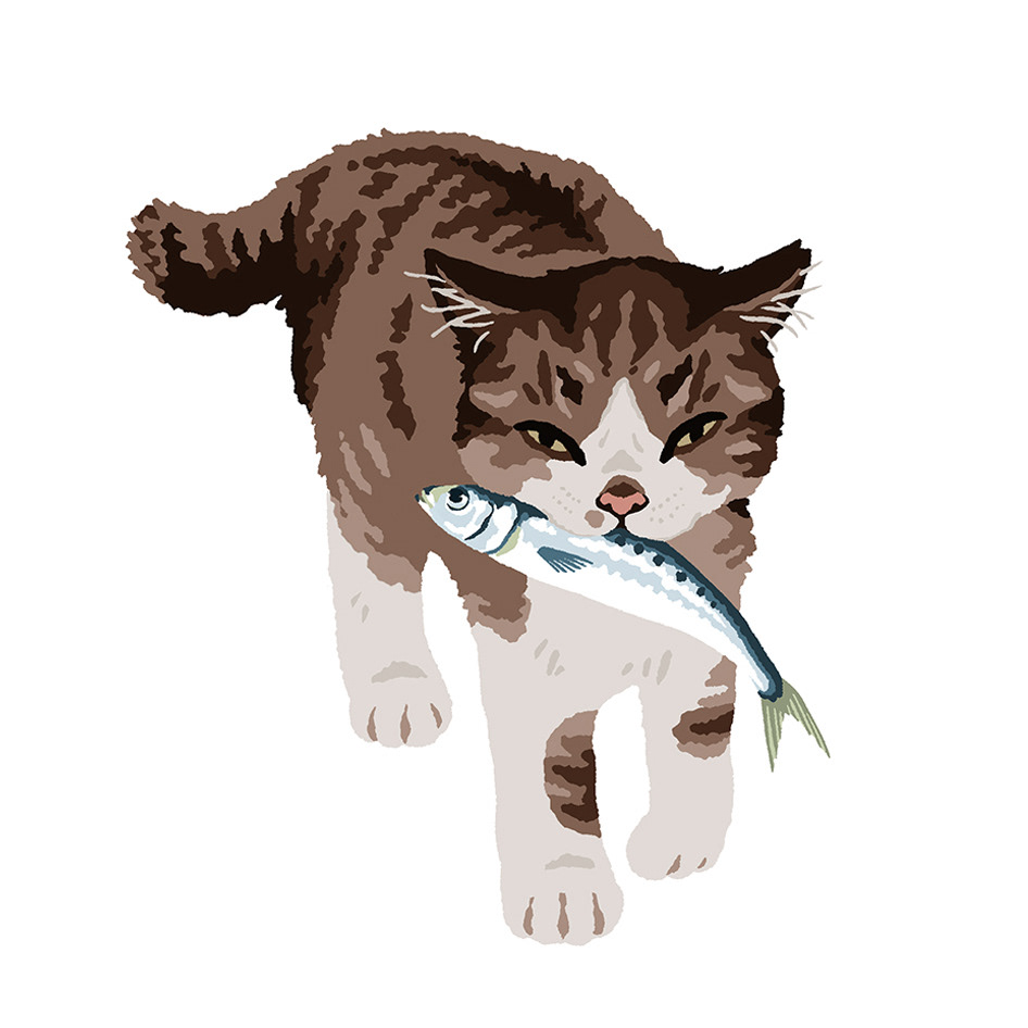 どらねこ(2025)