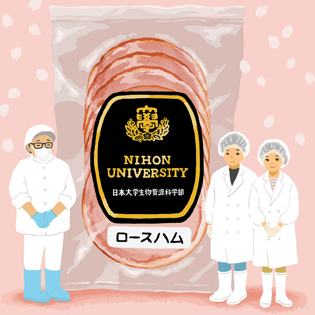 日大生物資源科学部 ロースハム（2024年10月号）