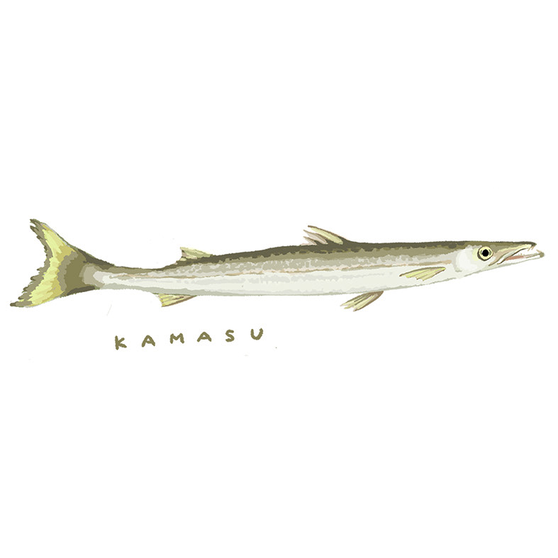 かます(2024)