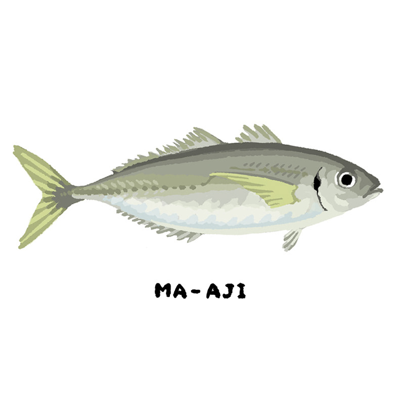 まあじ(2024)