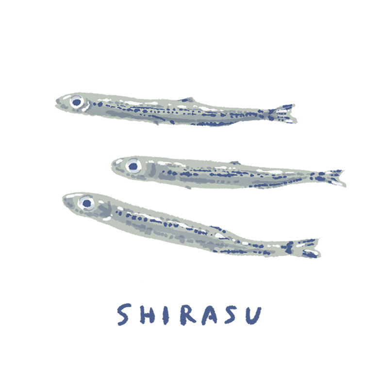 しらす(2024)