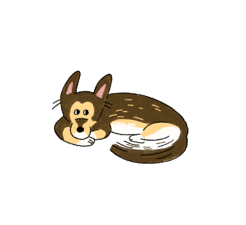 pyeonhi