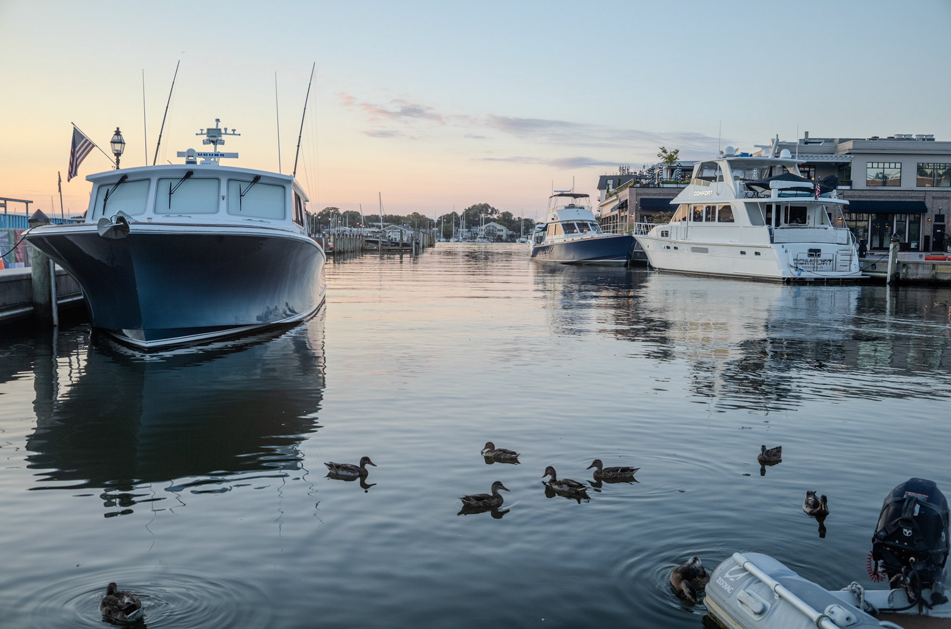 Harbor