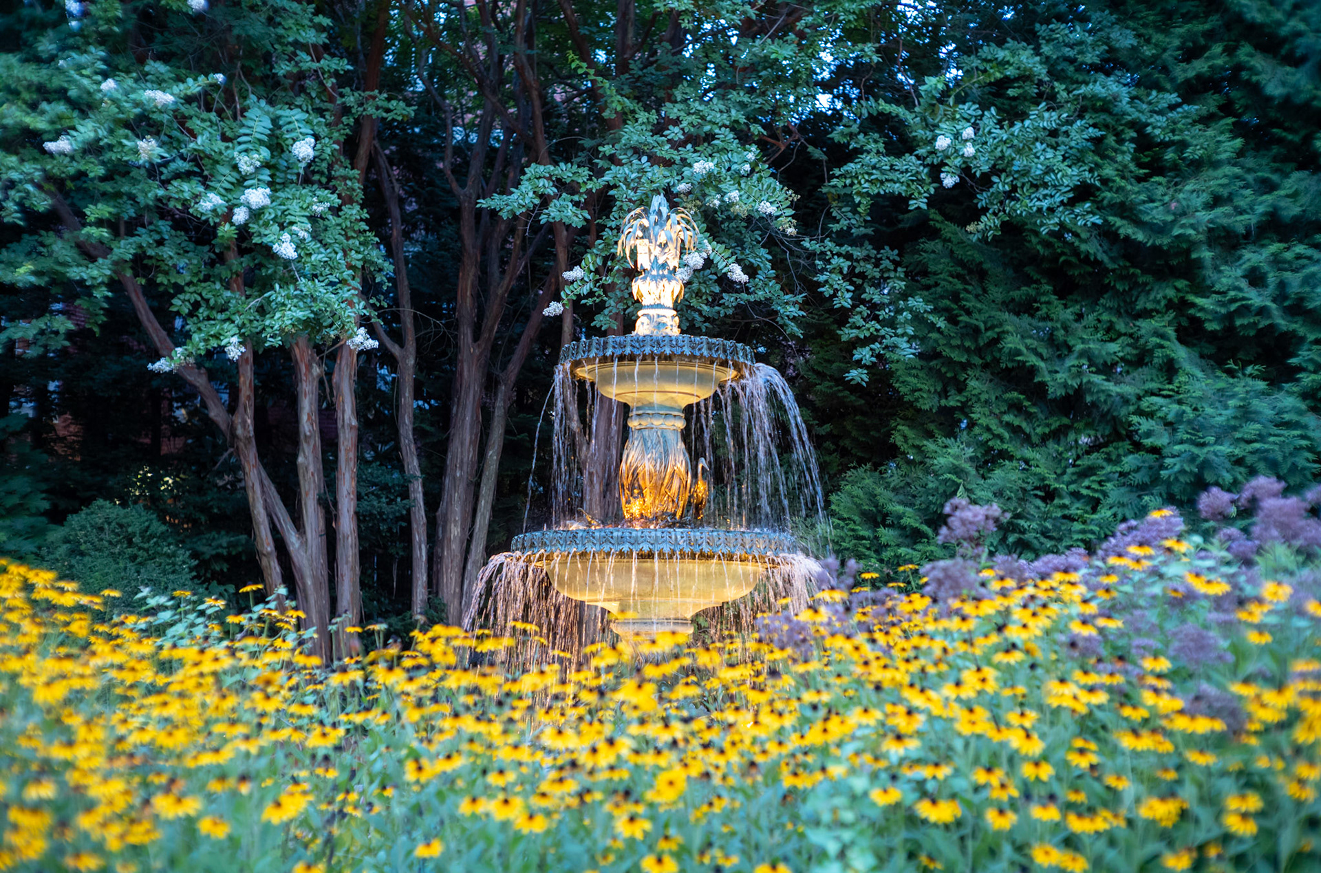 Schaefer's Girlfriend's Fountain