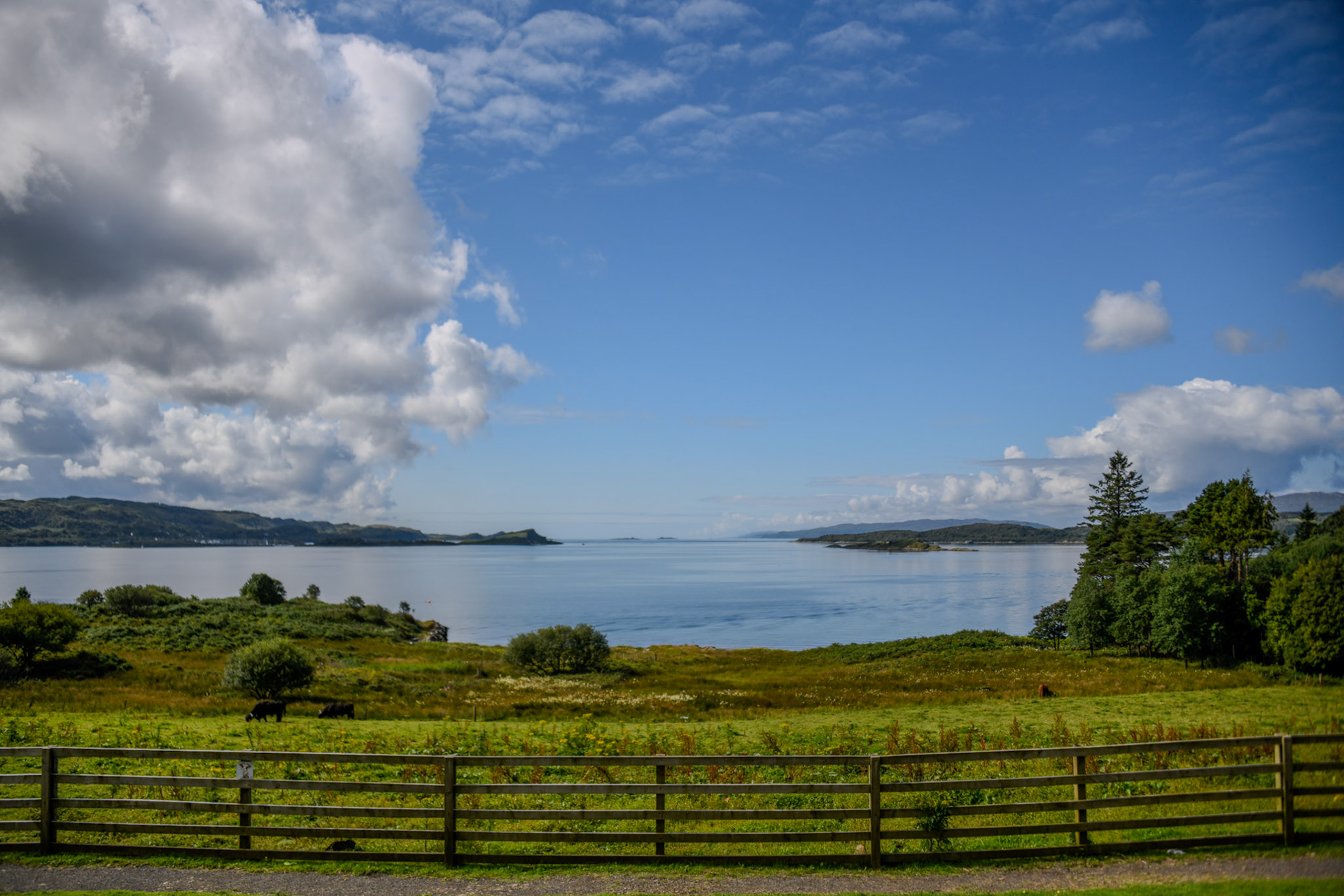 Very Early Evening Near Loch Lomond