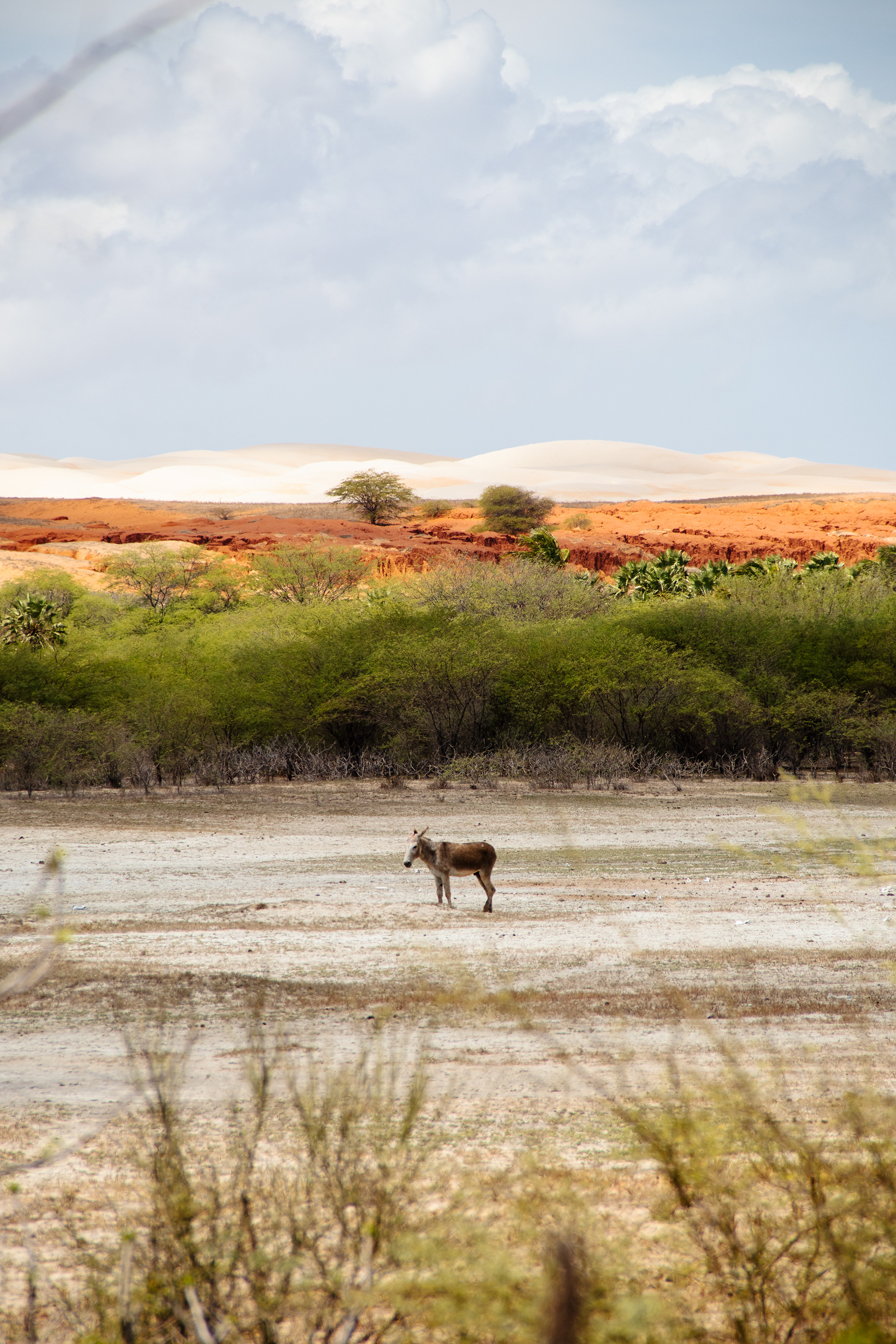 Dunas do Rosado, Rio Grande do Norte