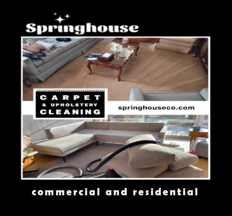 Springhouse - SEO, social