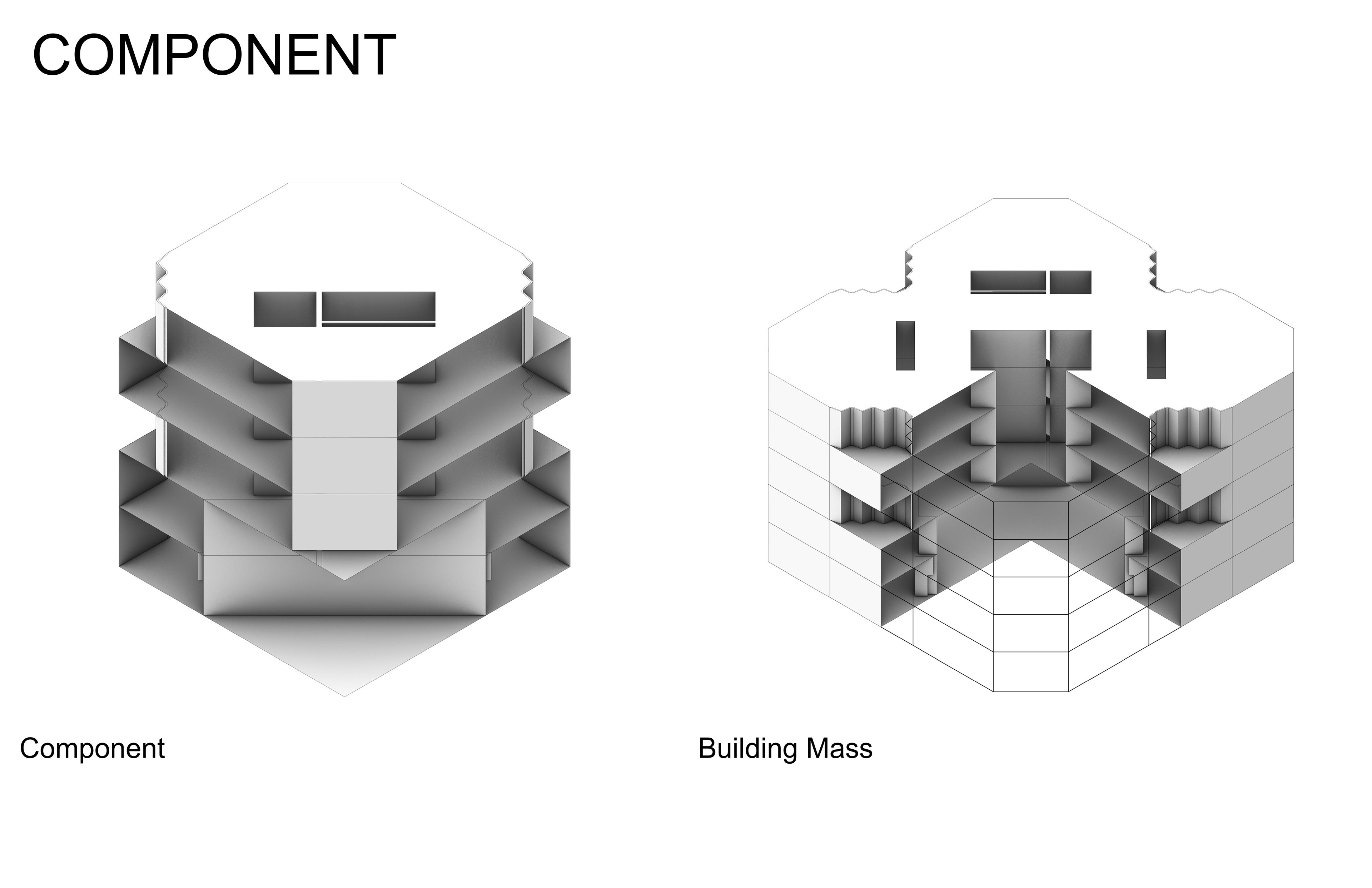 Component Section