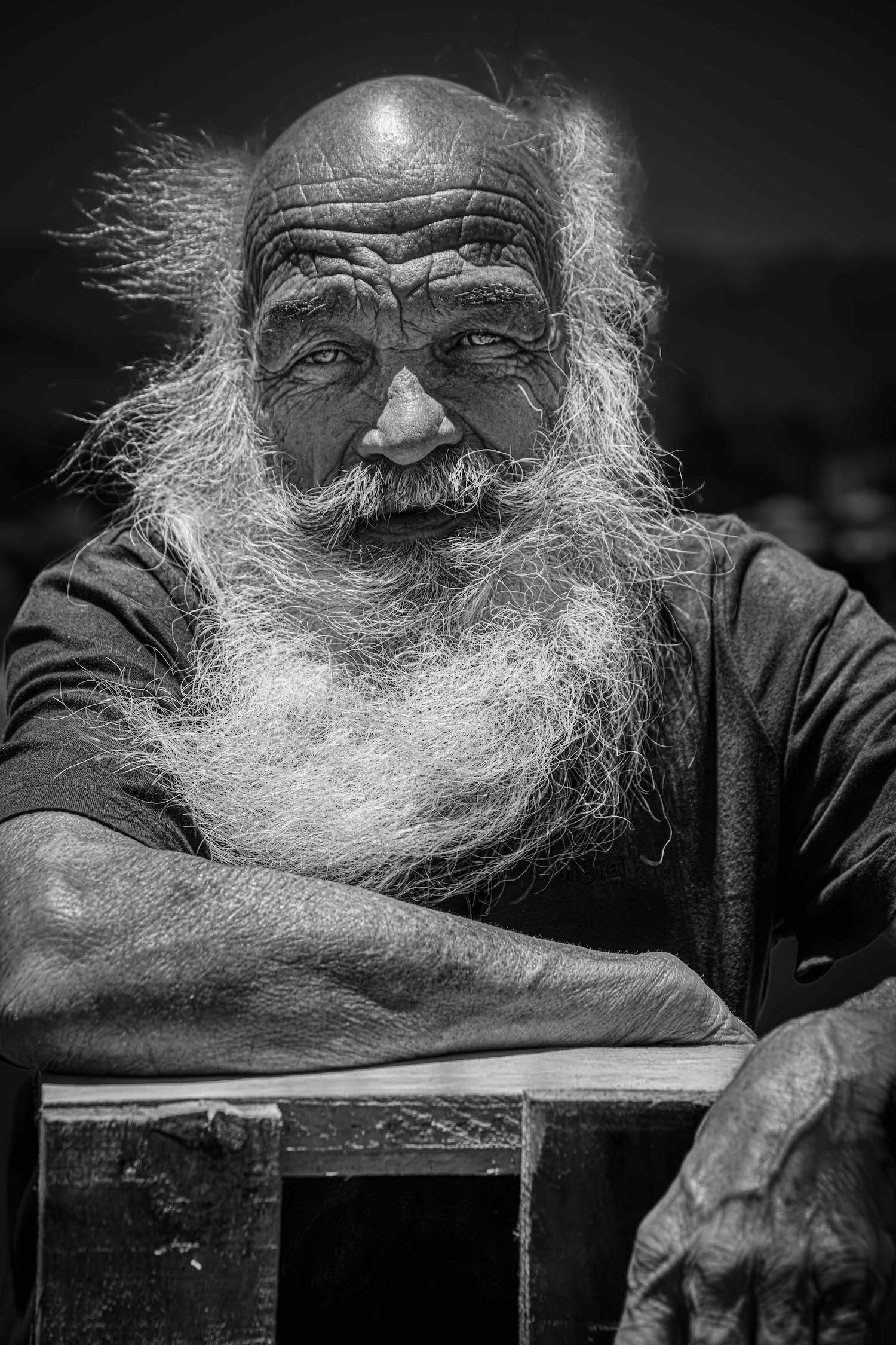 fisher/canary islands