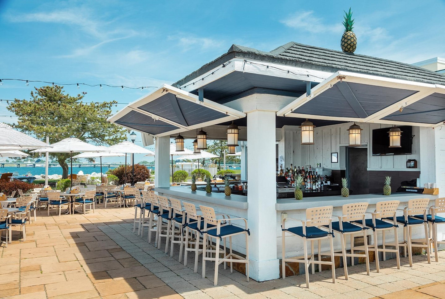 Pineapple Bar