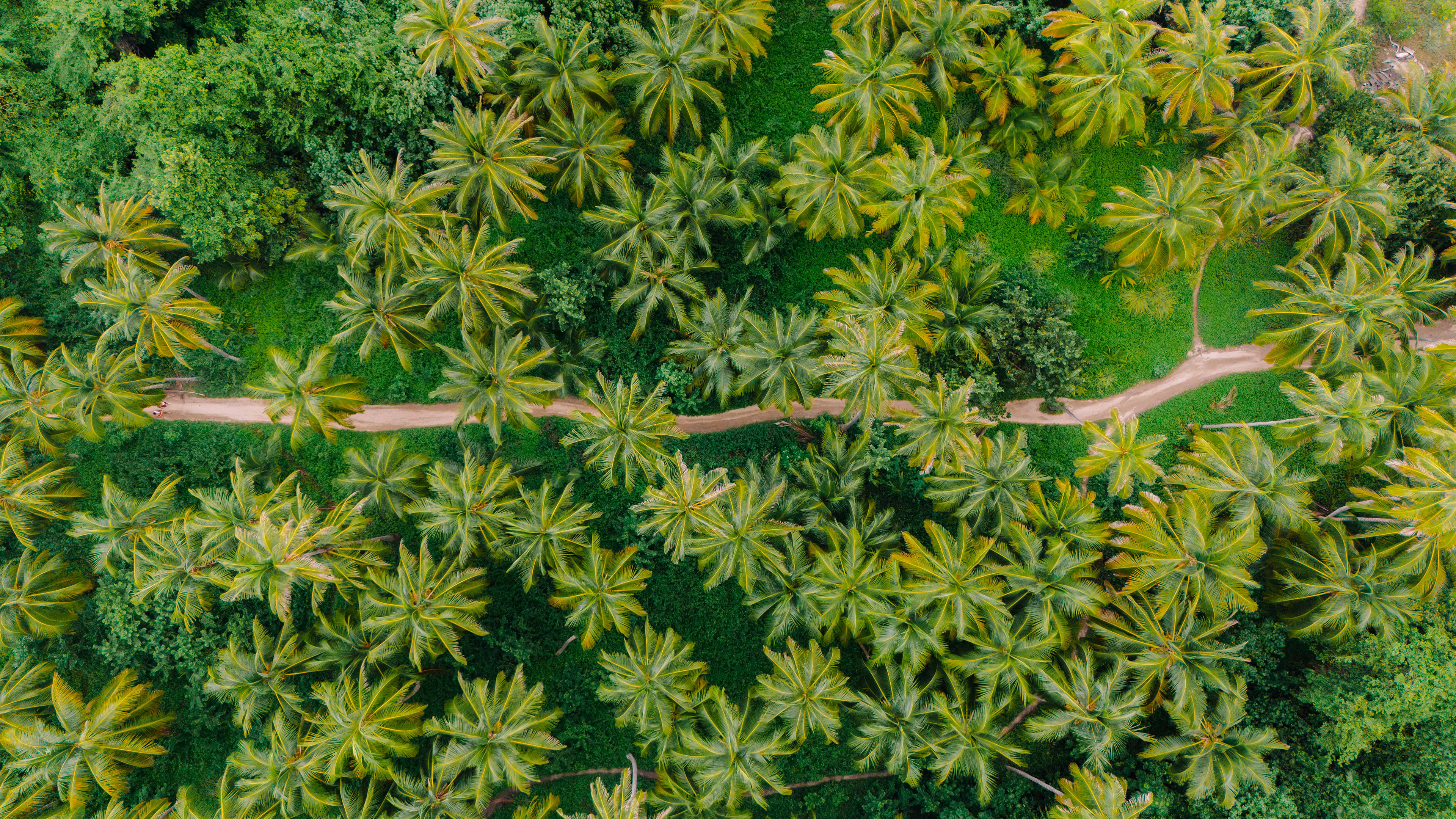 Parque de Tayrona, Colombia