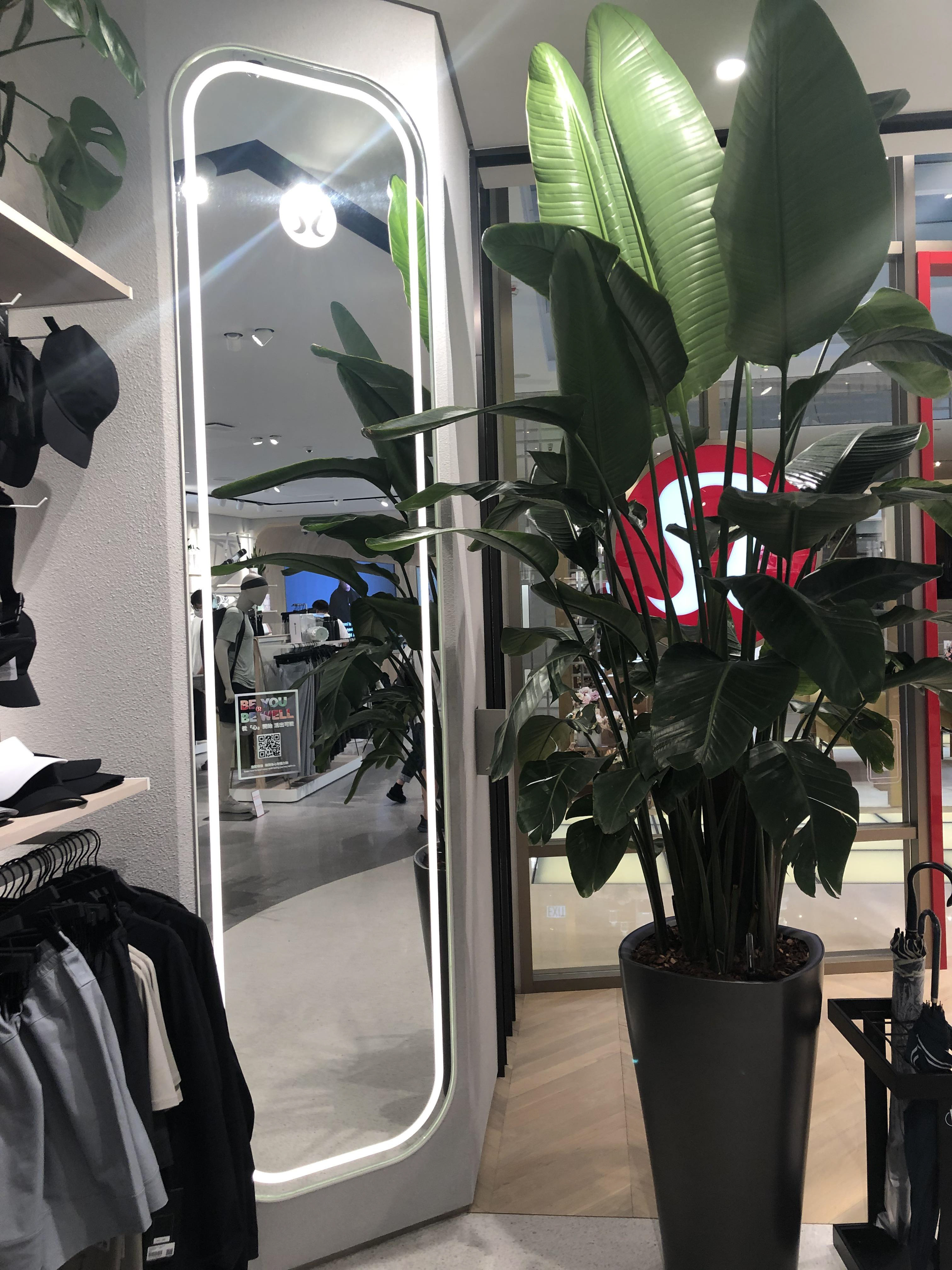 Using biophilic (natural) decoration and smart mirrors that have QR code stickers - an opportunity for app integration?
