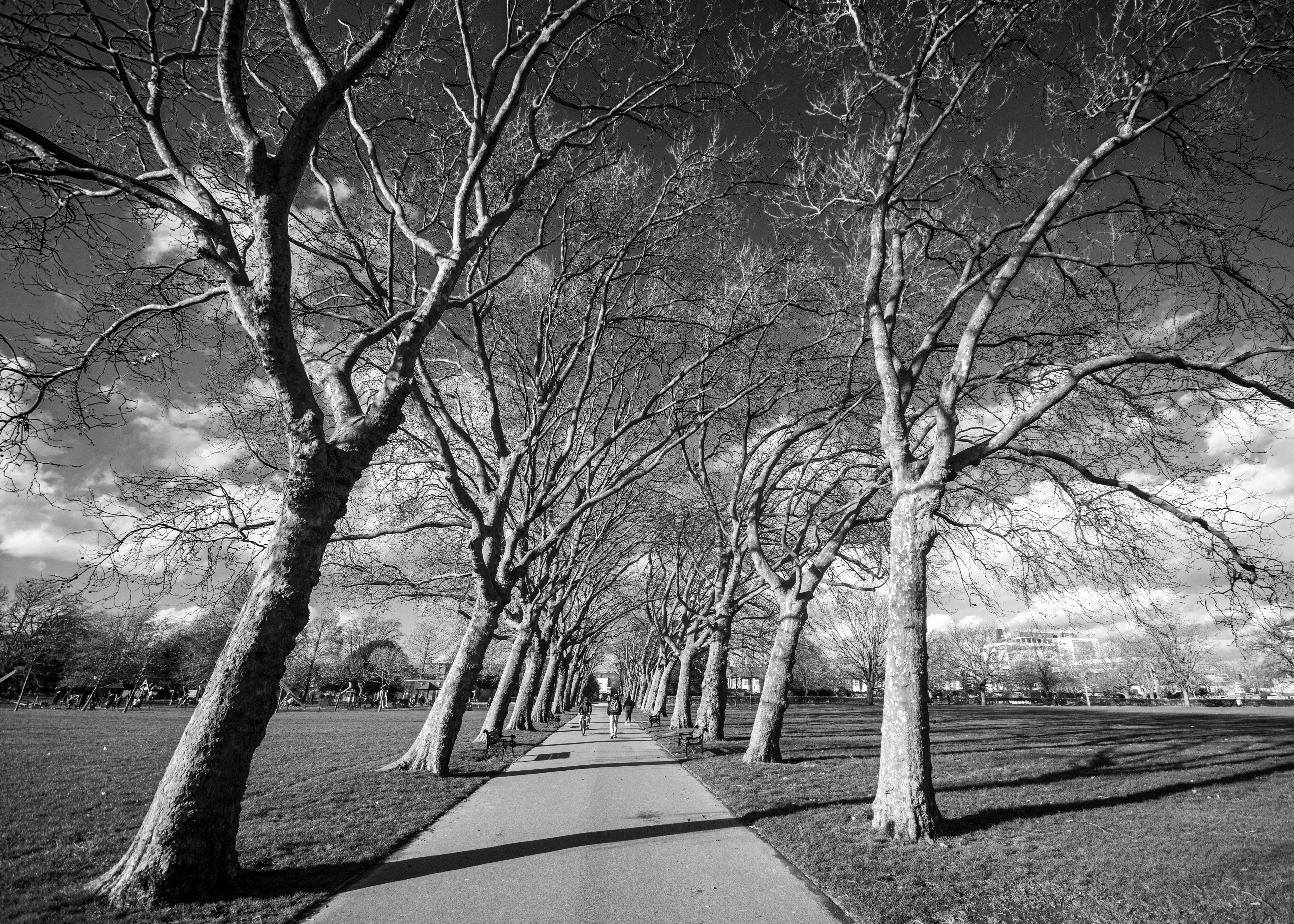 Central Park East Ham