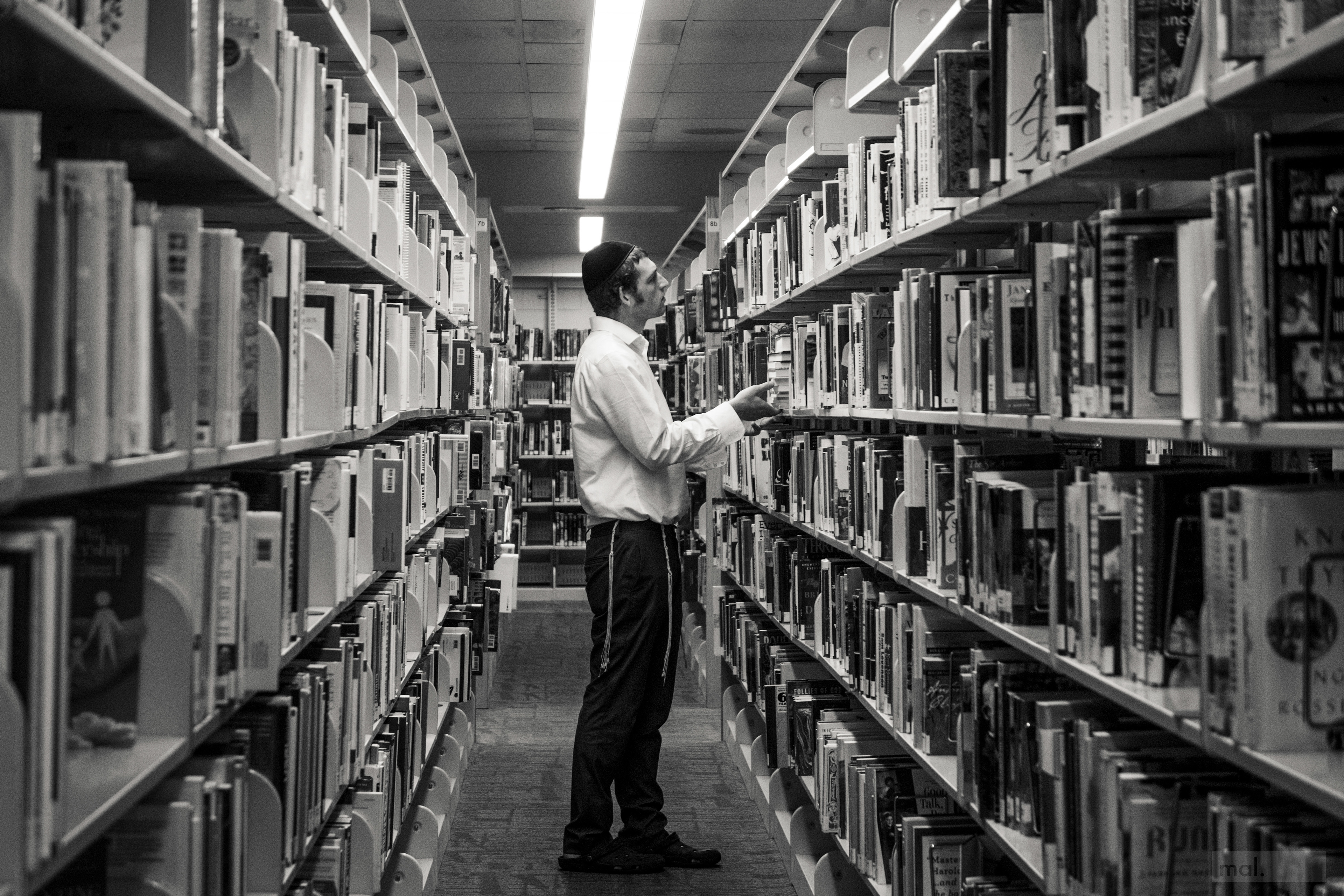 An Ultra Orthodox yeshiva student browses the Judaism section of his local branch library. (Lakewood, NJ. 2018)