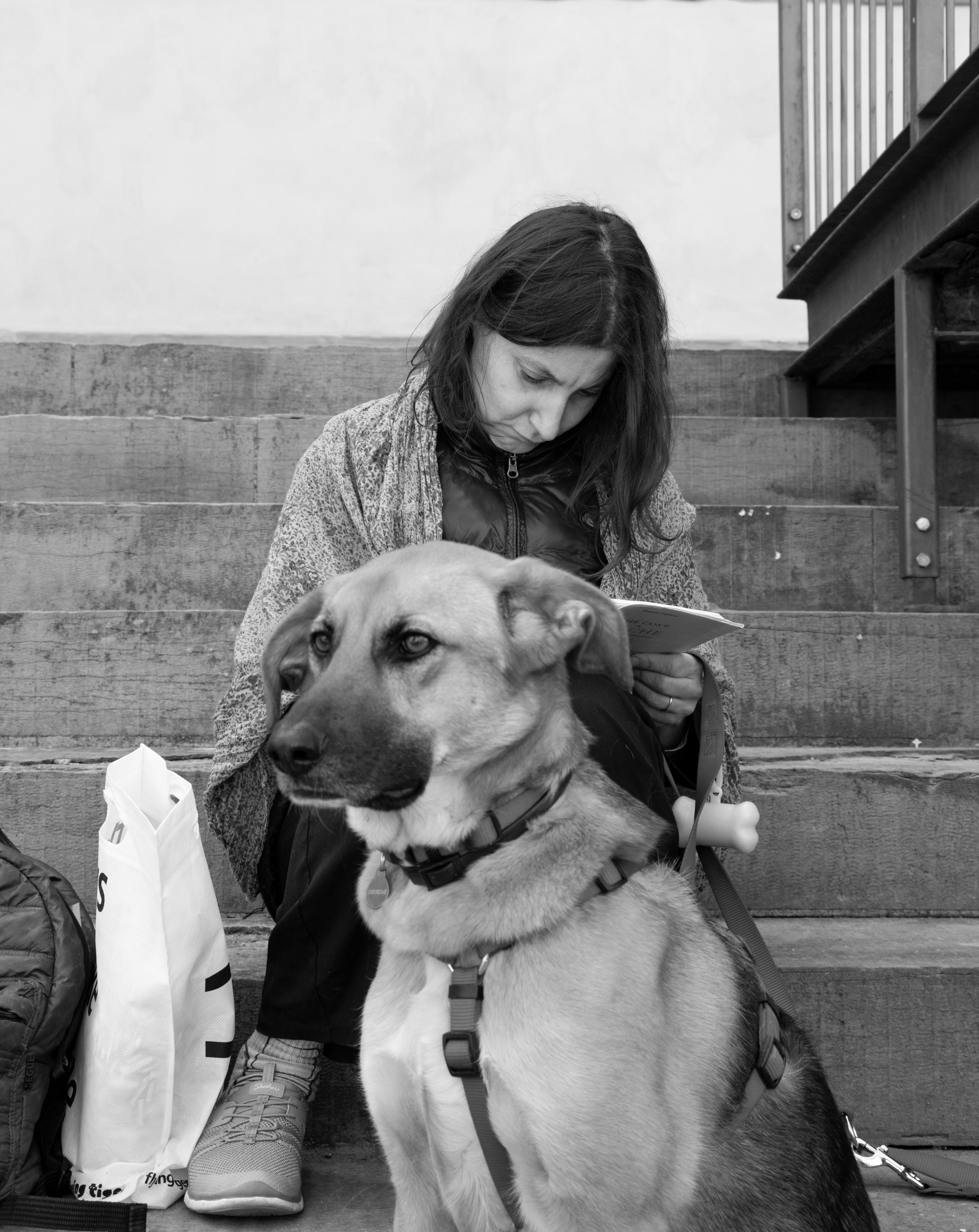 The unwavering love of a dog is clear as they stand watch over their owner as she relaxes on the steps of Santa Croce with her book.