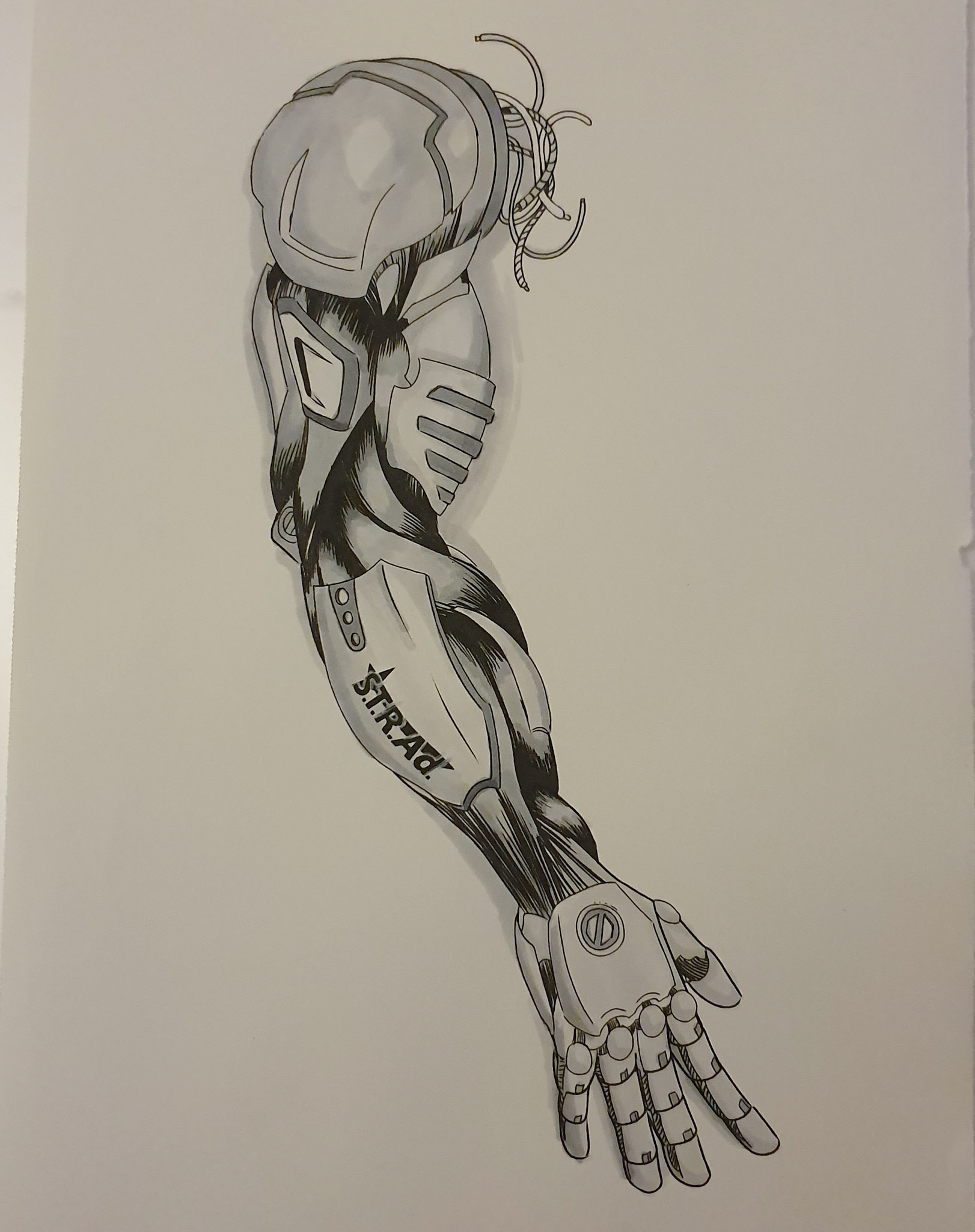 Day 5 - Build