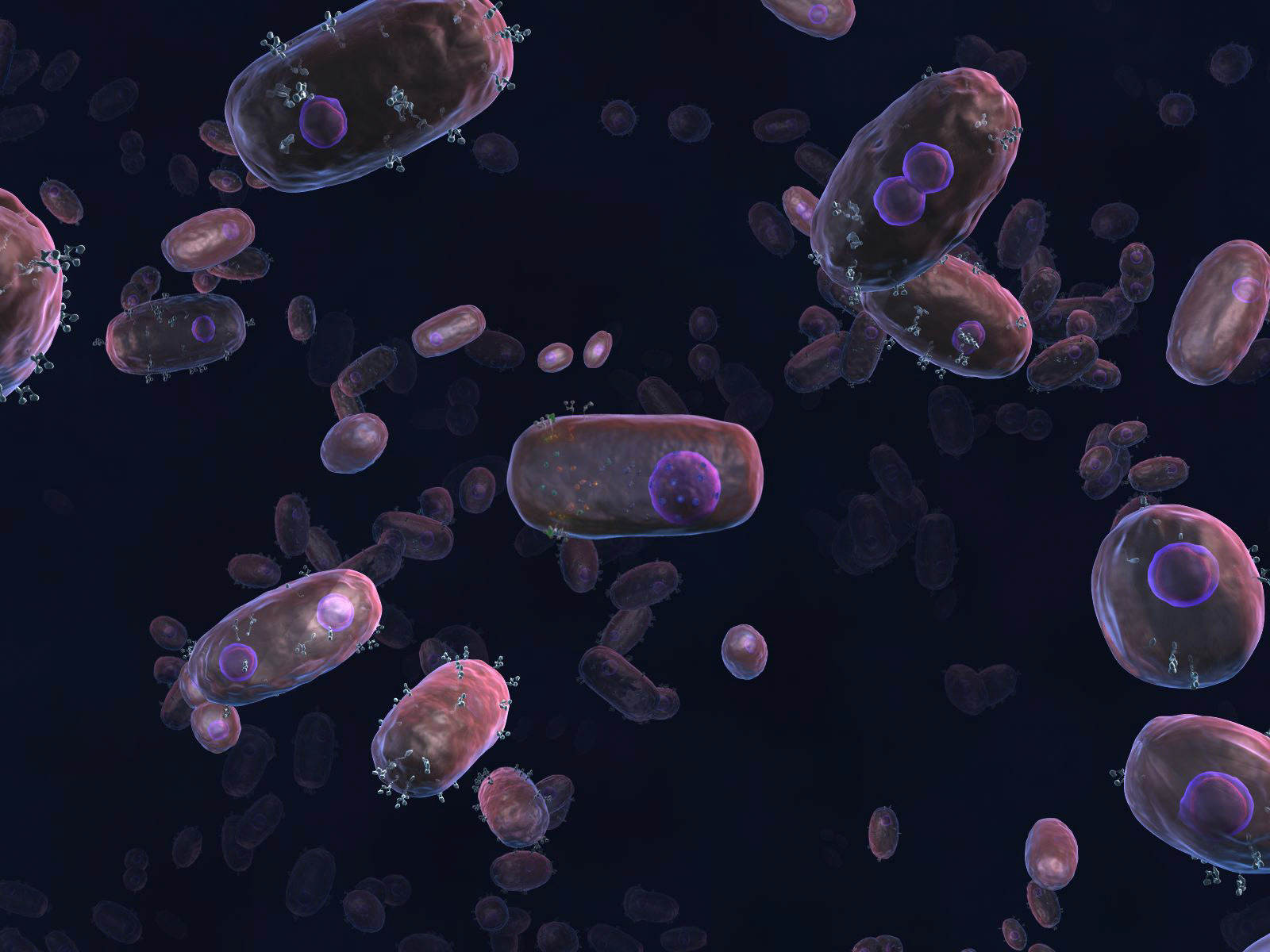 Cellular Mielleux