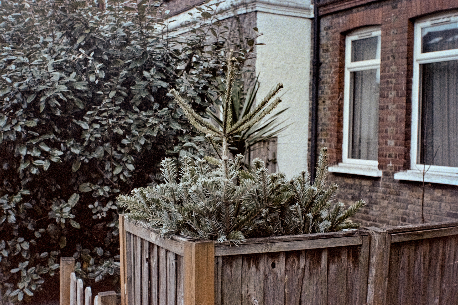 Part of Xmas '24 Project