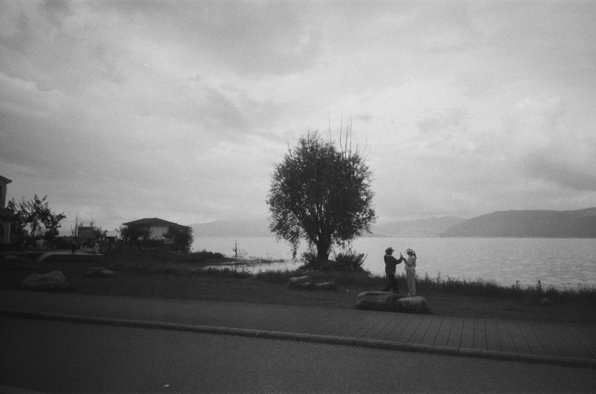 New Classic EZ400 35mm BW Film - ISO 400 - 135 | Scanned by Nice Film Club