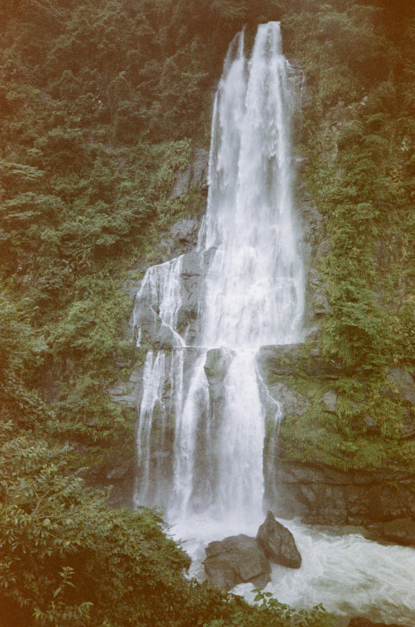 Some C-41 Roll - ISO 400 - 135 | Scanned by Nice Film Club