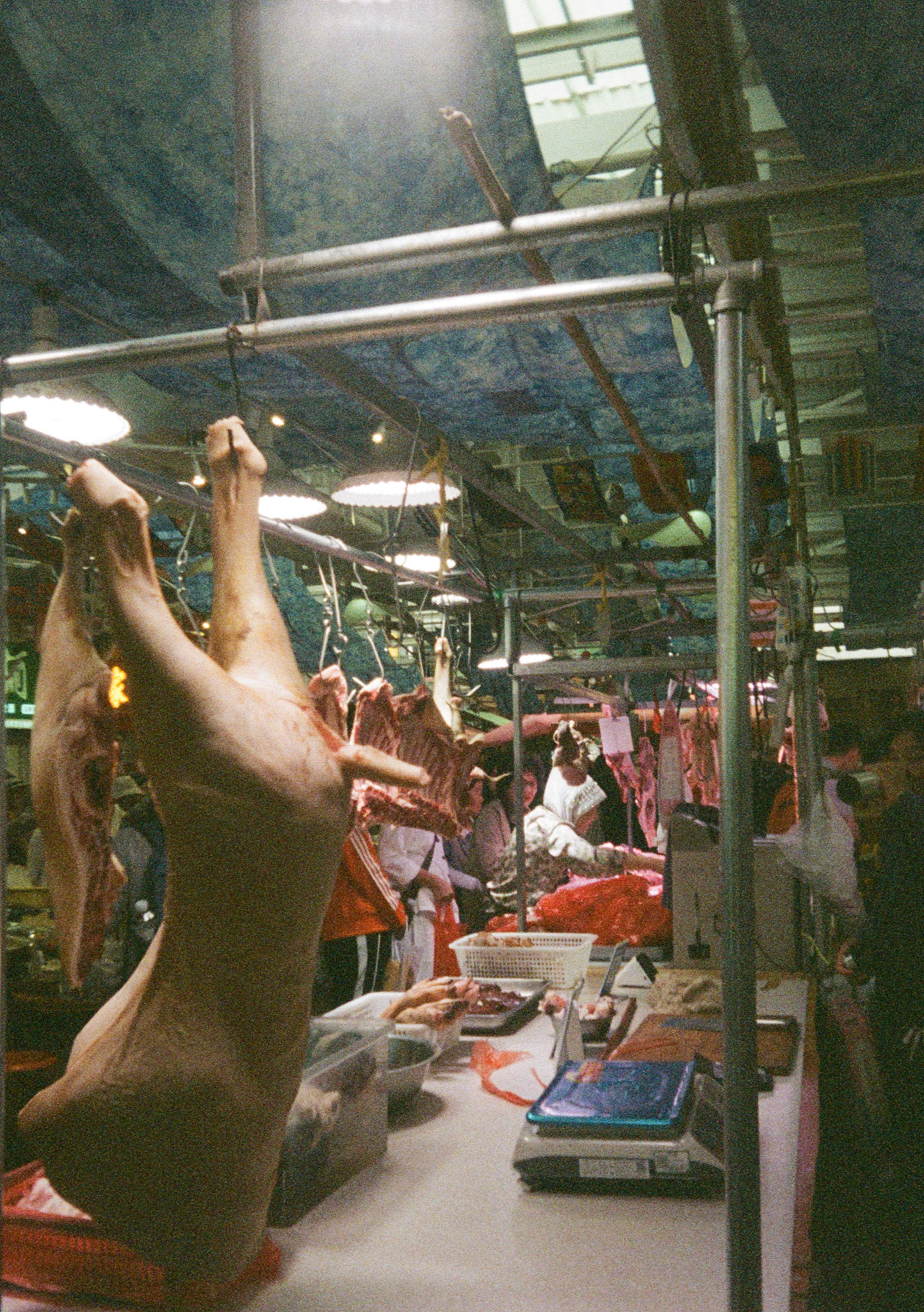 Kodak Professional Portra 800 - ISO 800 - 135 | Scanned by Nice Film Club