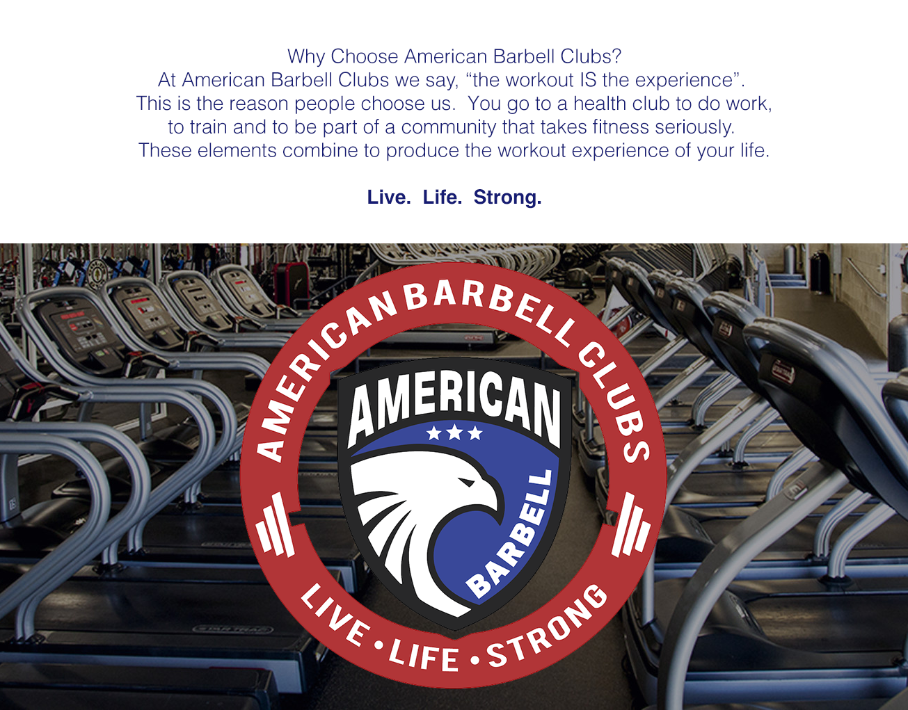 American barbell online fitness