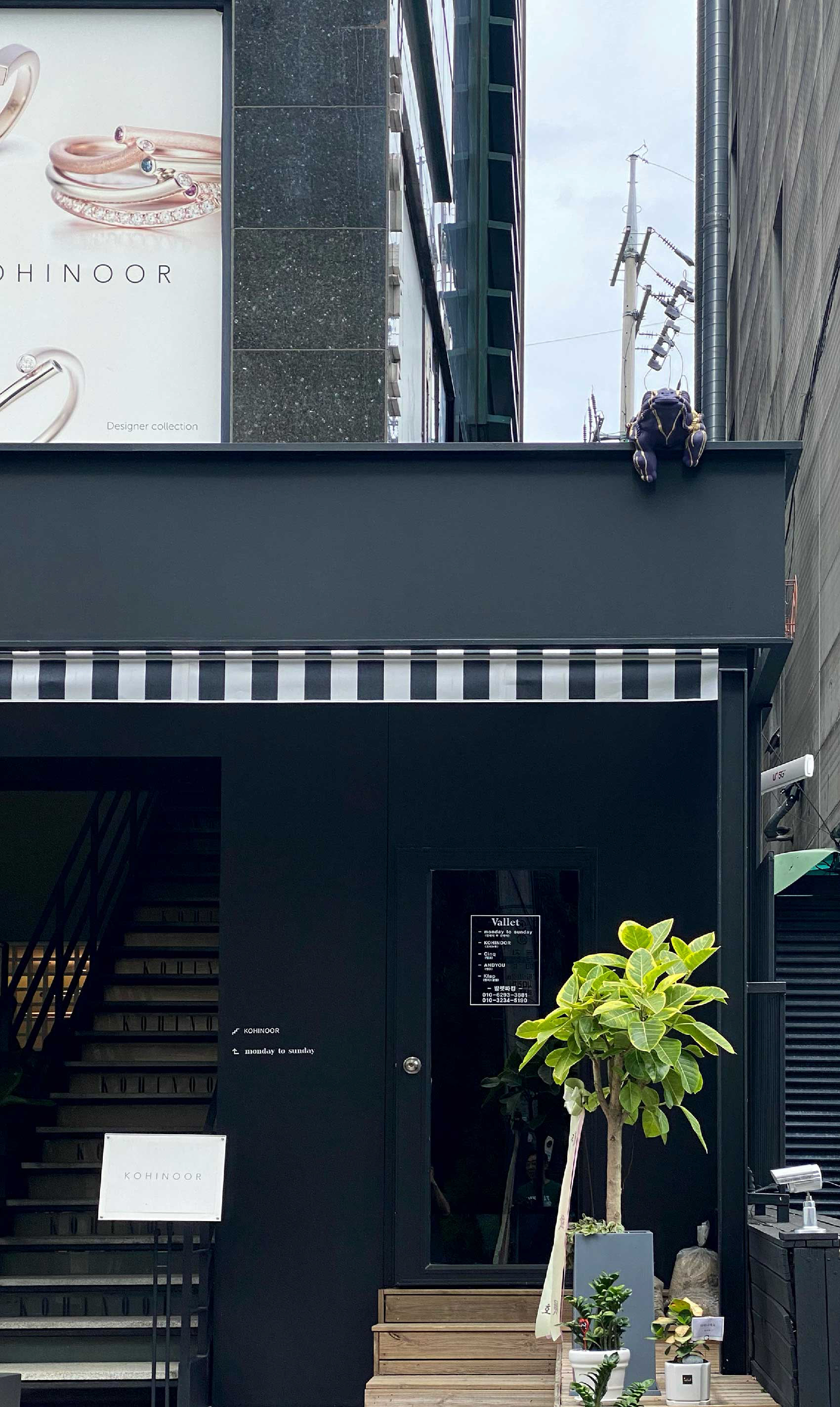 Golden lucky | mondaytosunday | 청담