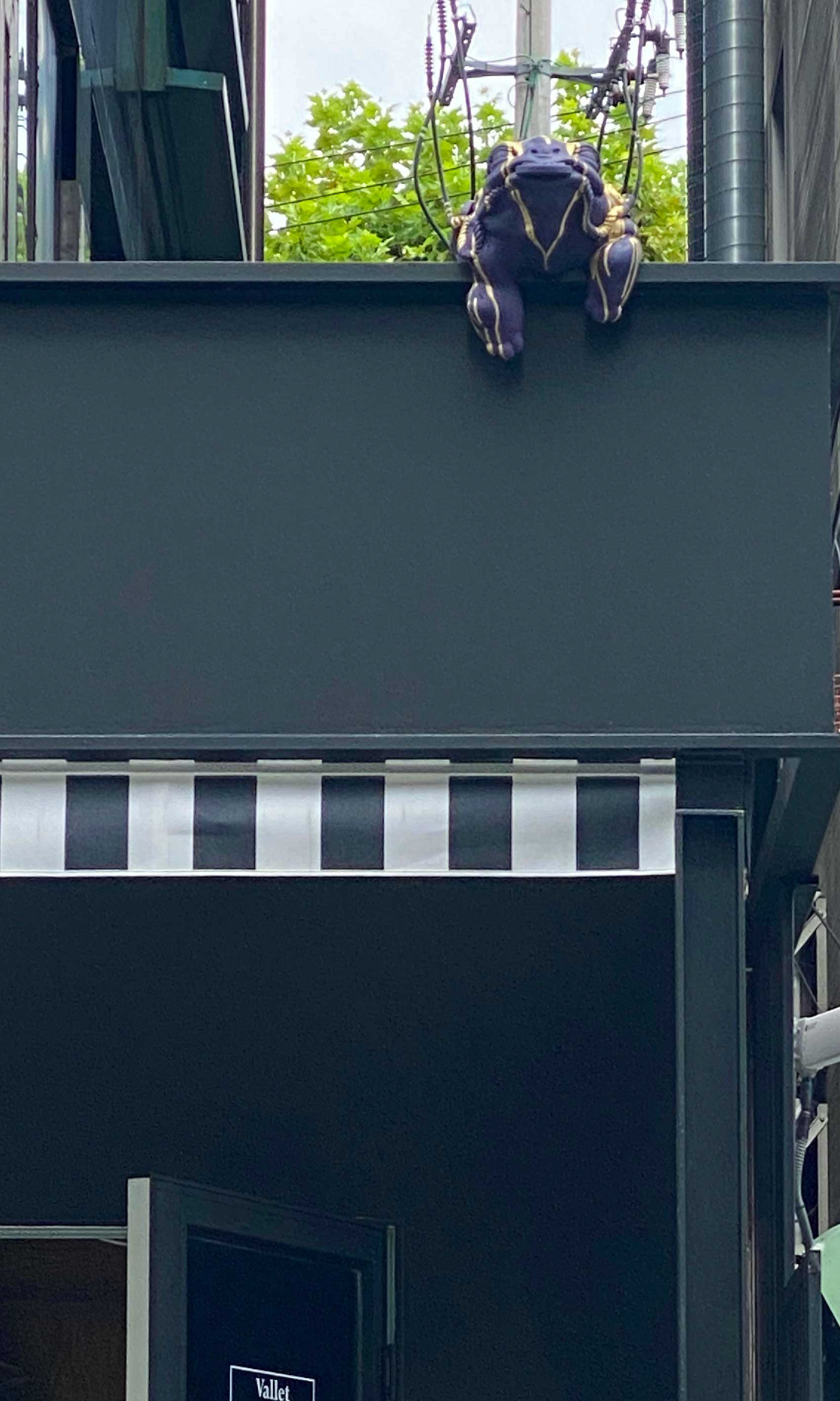 Golden lucky | mondaytosunday | 청담