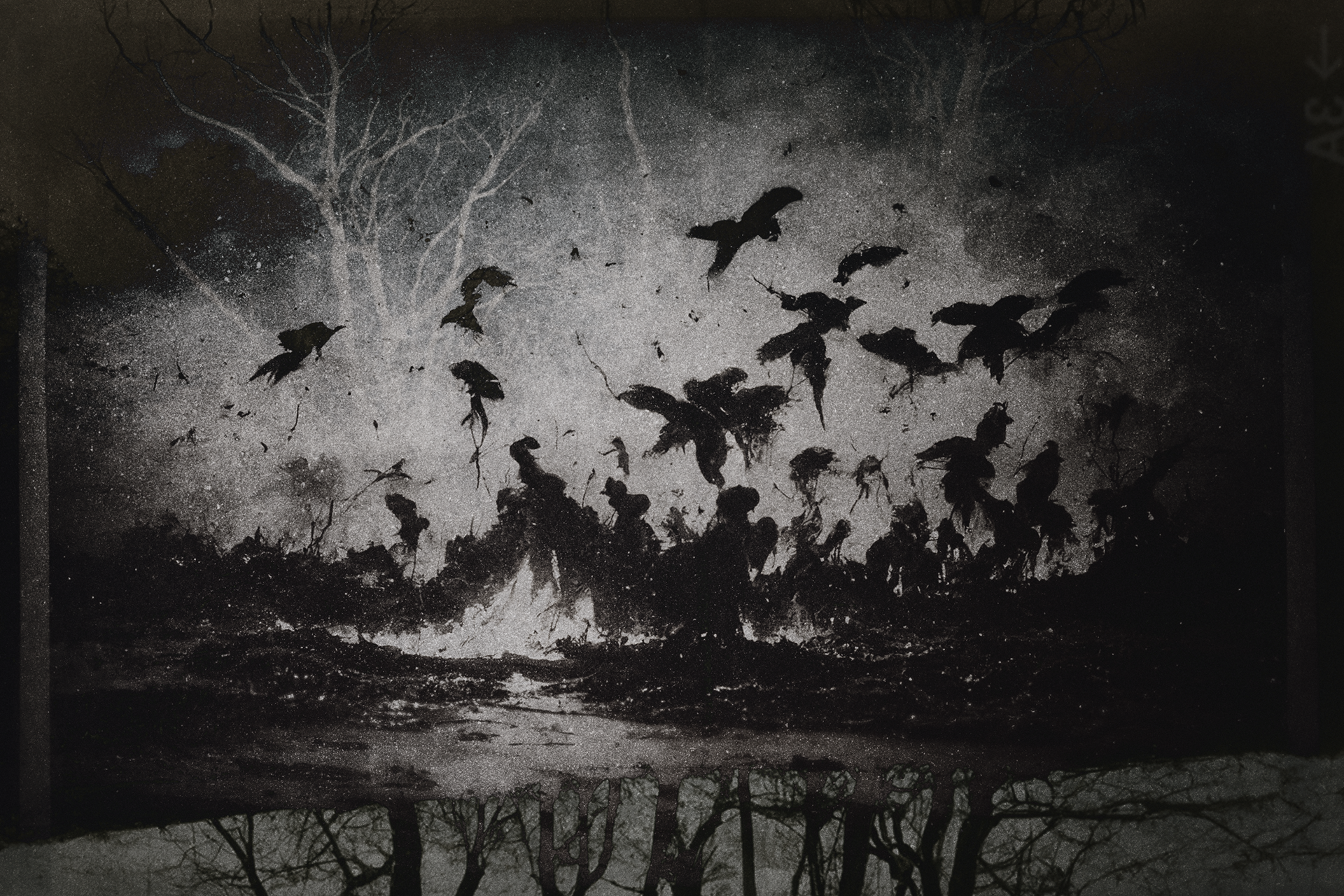 AƐ (The birds), 2022