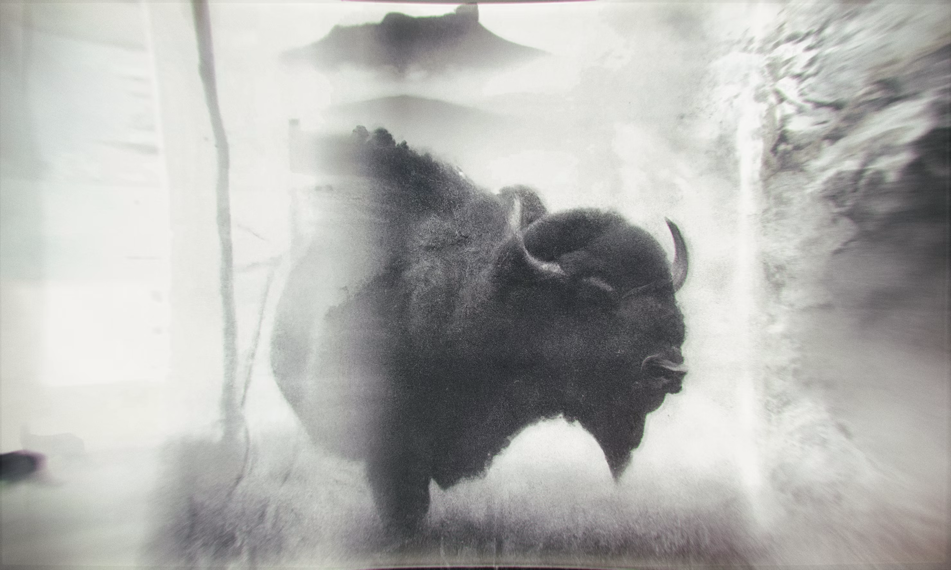 Lith #2 (The Bison)
