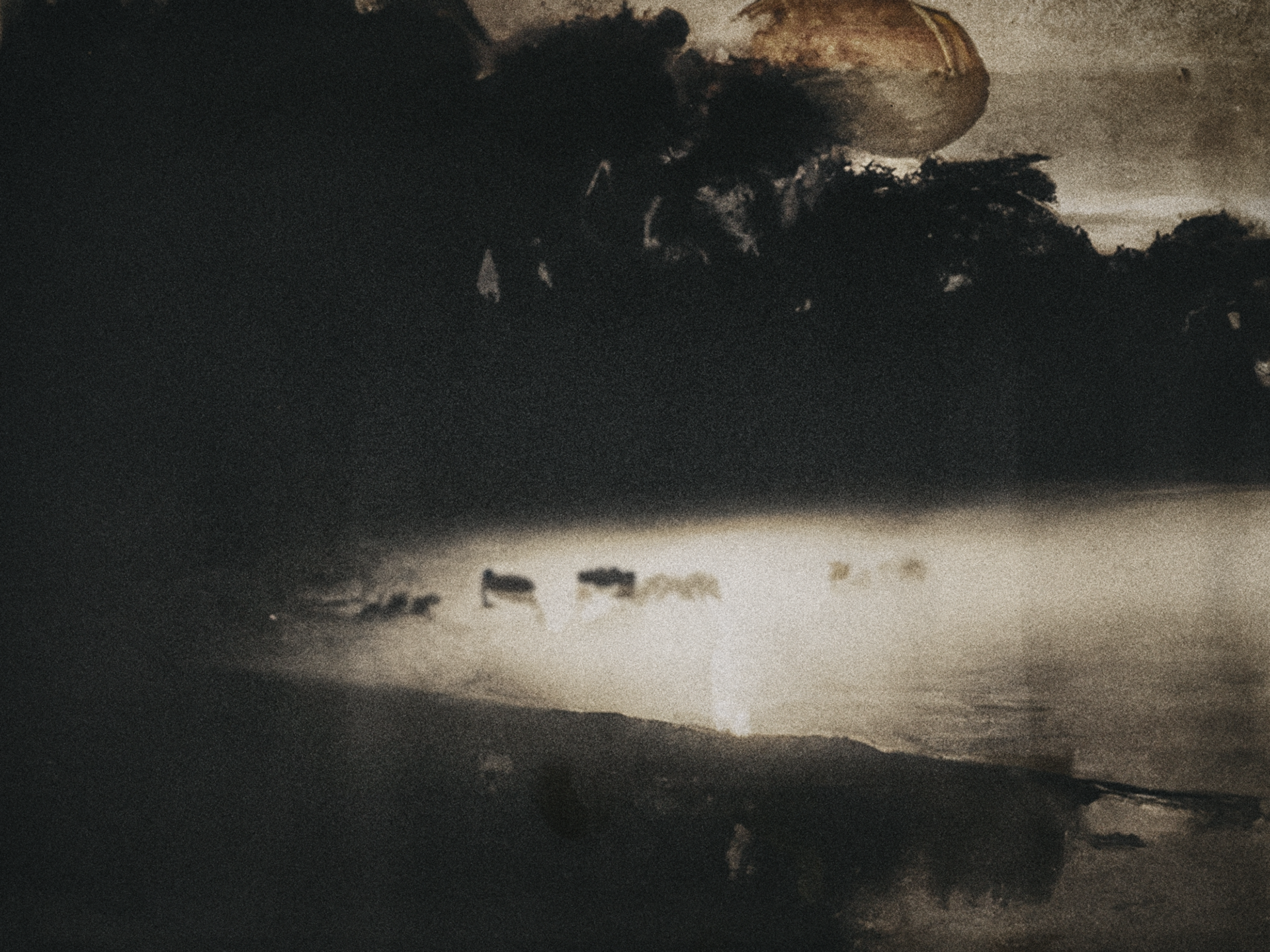 Nightfall (pastoral), 2022