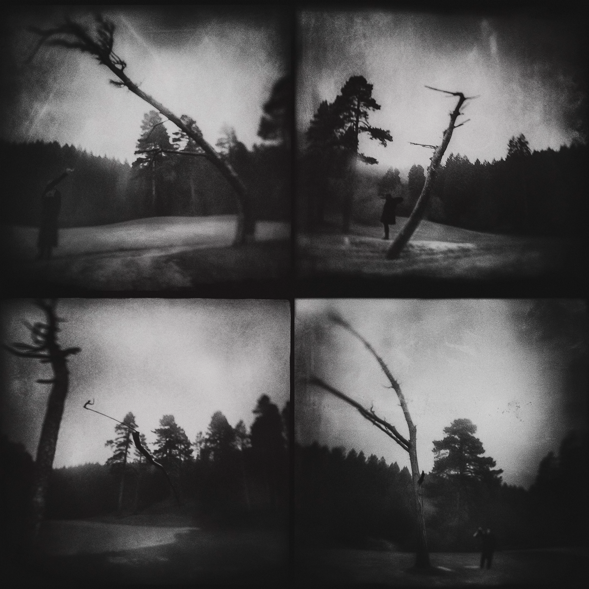 TENDENCY TOWARD EQUILIBRIUM