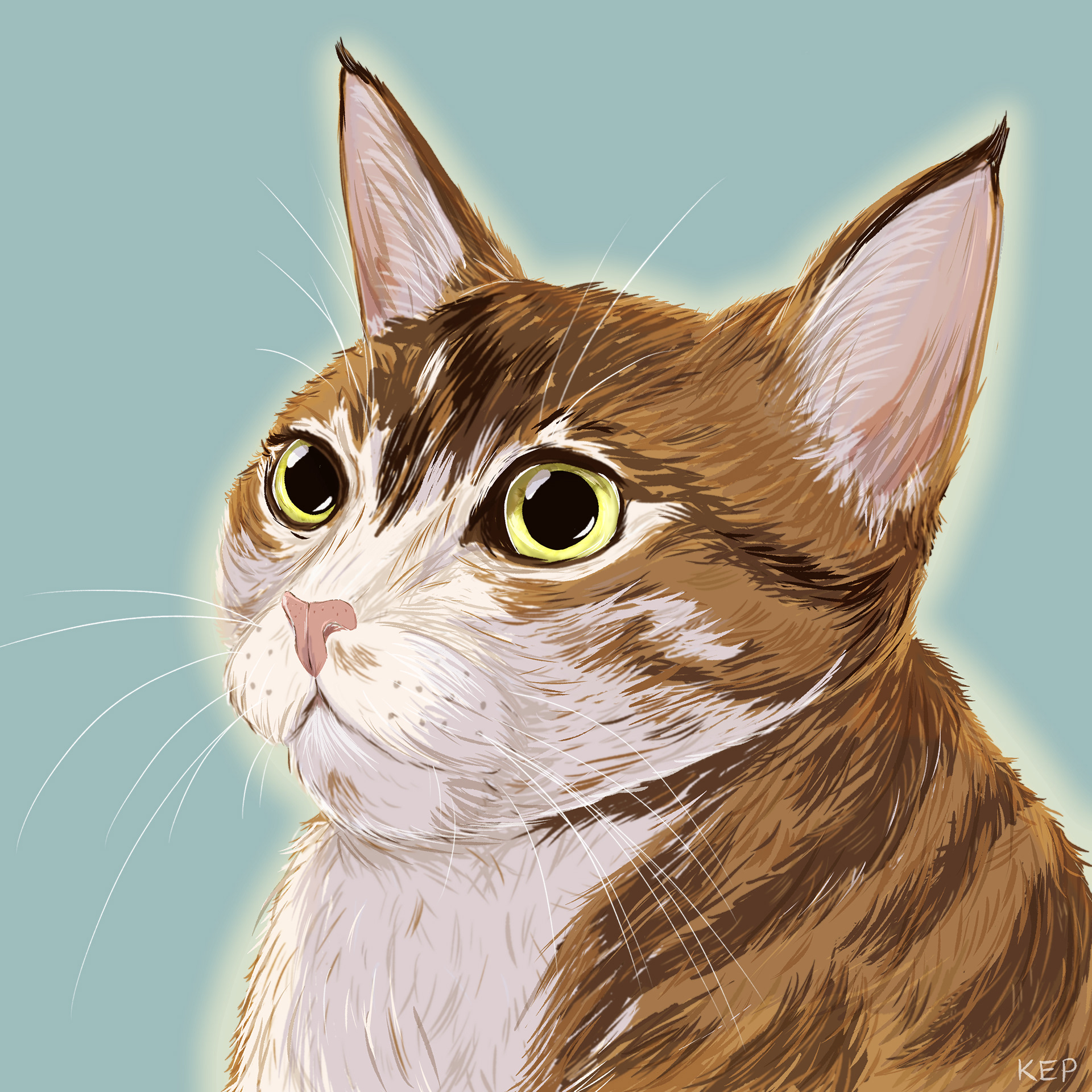 Pet Portrait