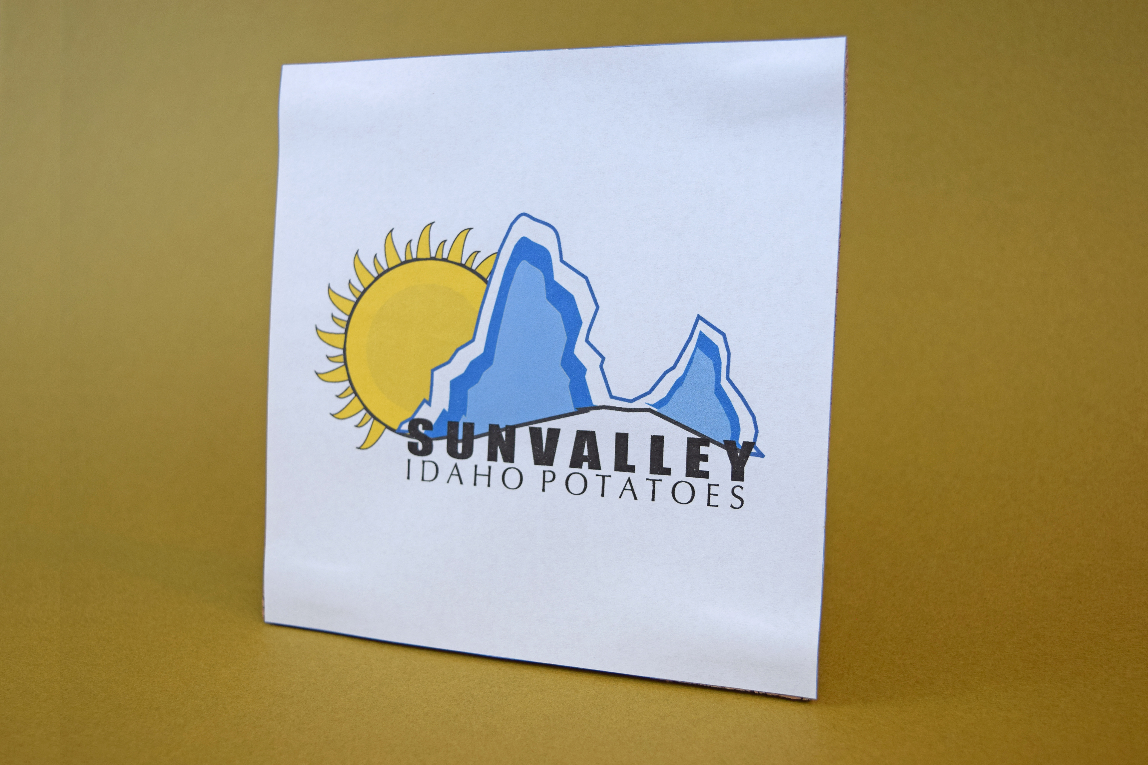 Logo example