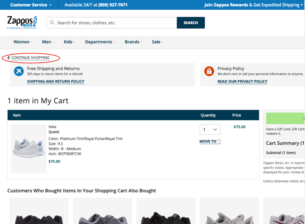 Competitive analysis: Zappos cart