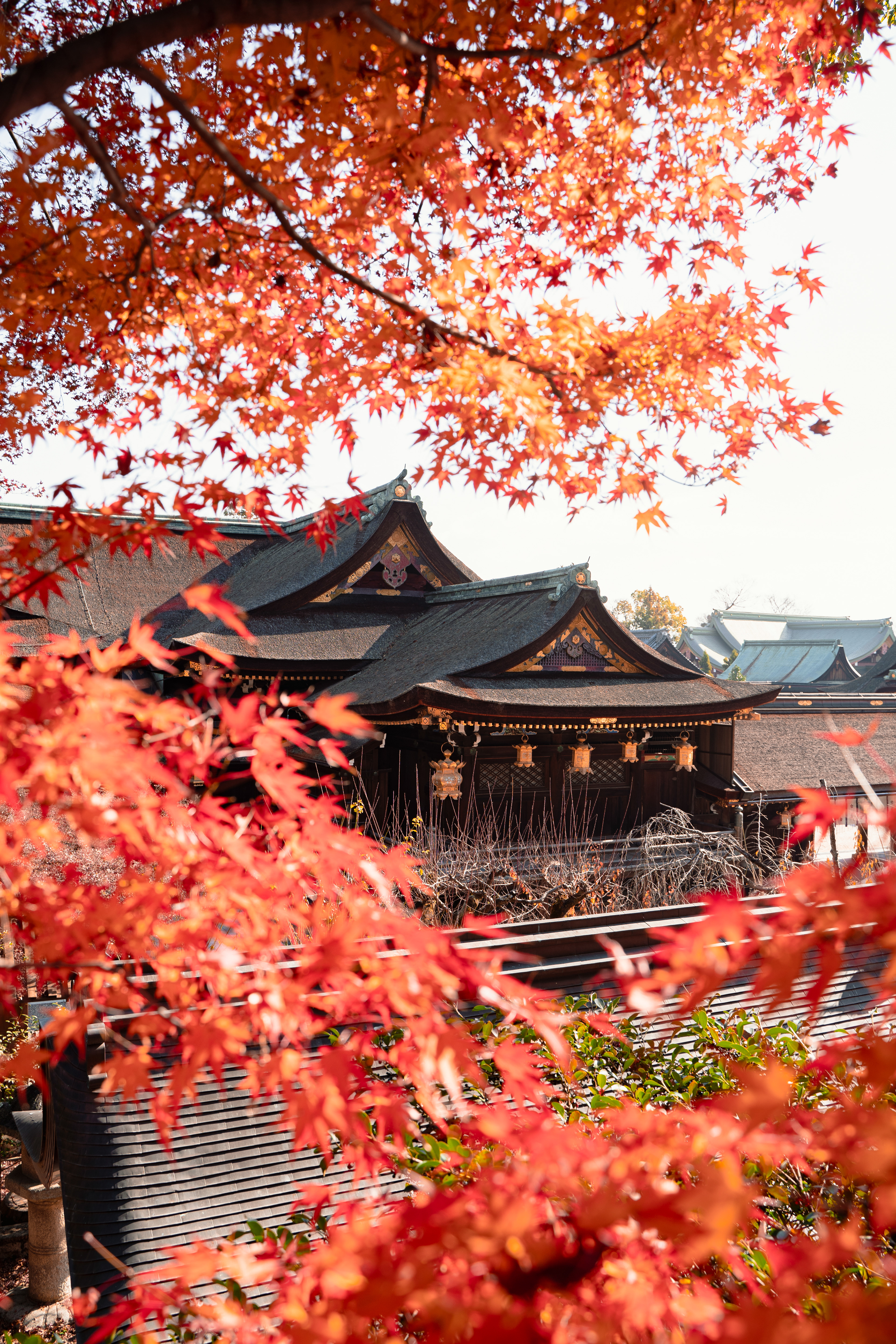 Kitano Tenmangu Shrine
