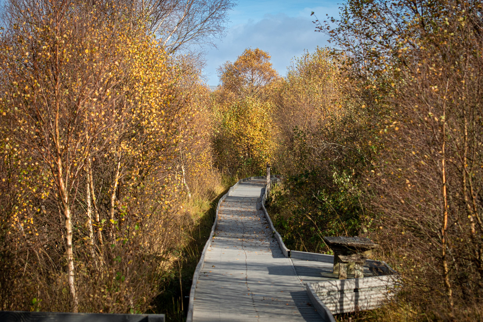 Cors Caron Nature Reserve